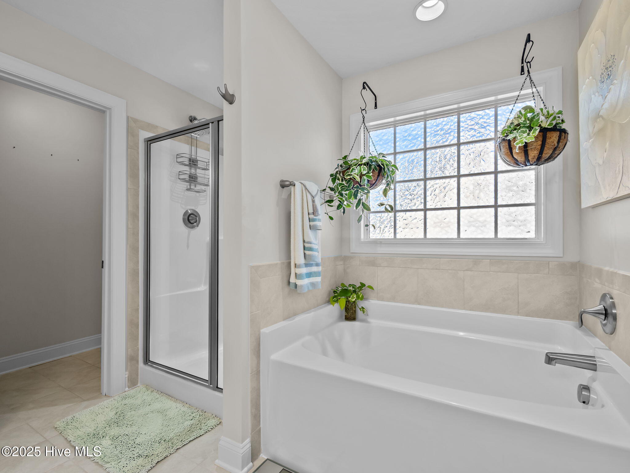 100539073 | Photo 26