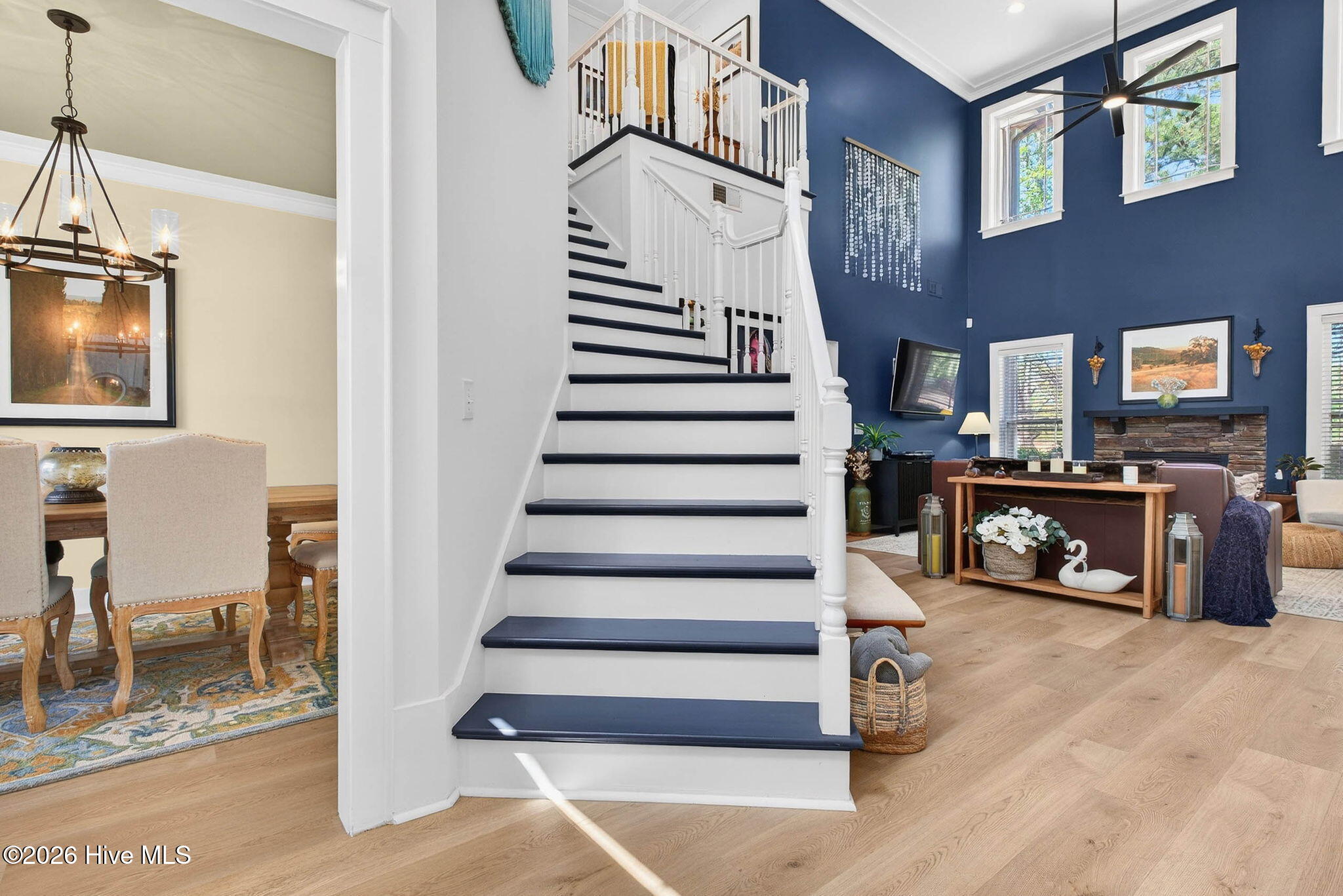 100564784 | Photo 17