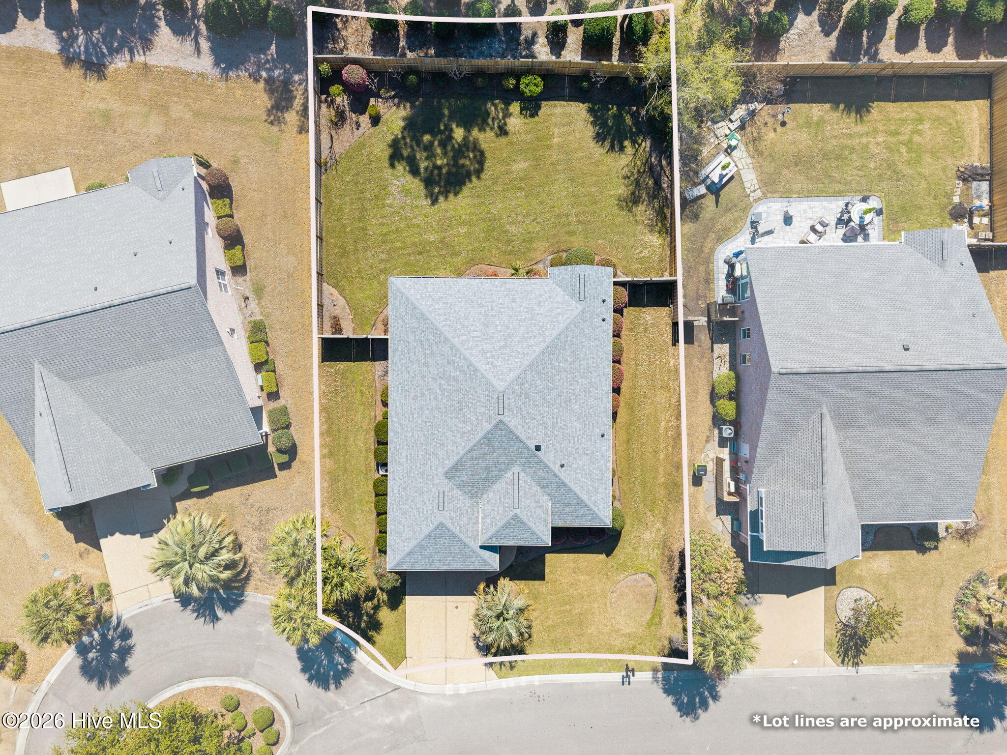 100562365 | Photo 25