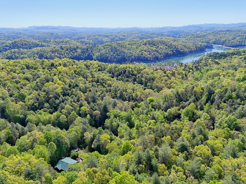 71 Leisure Time Lane, Murphy, NC 28906 Listing Photo  75