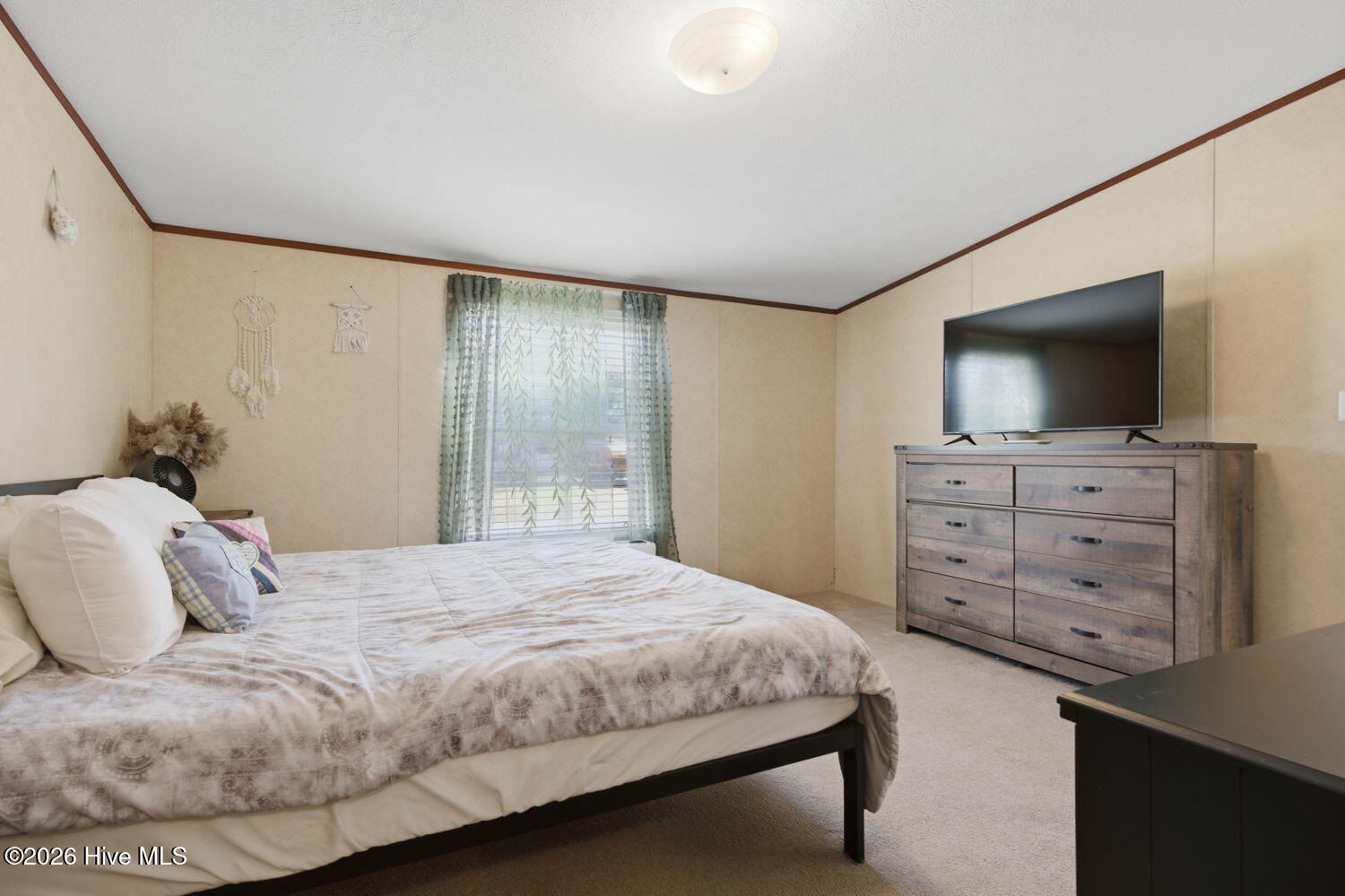 100559177 | Photo 13