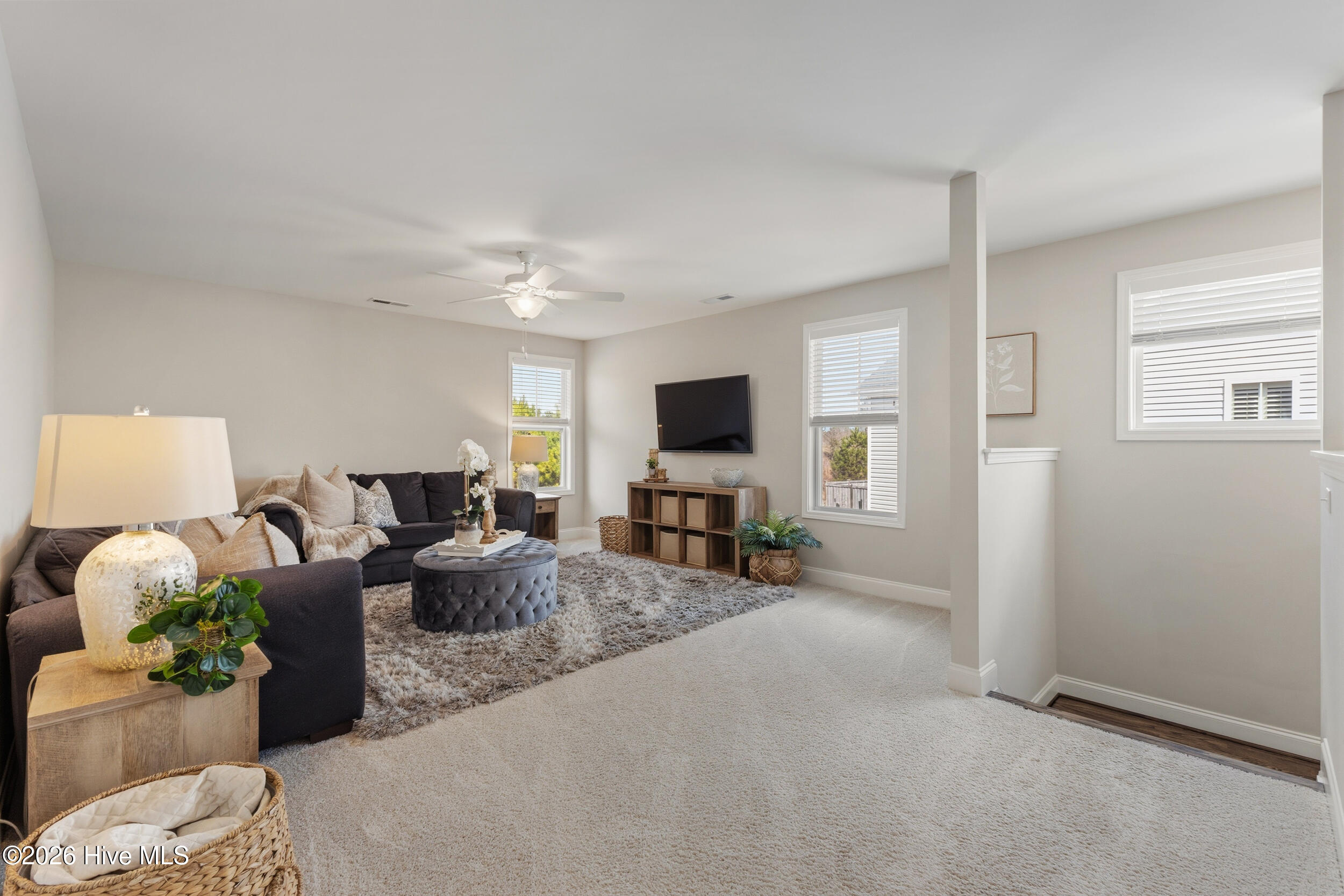 100558195 | Photo 25