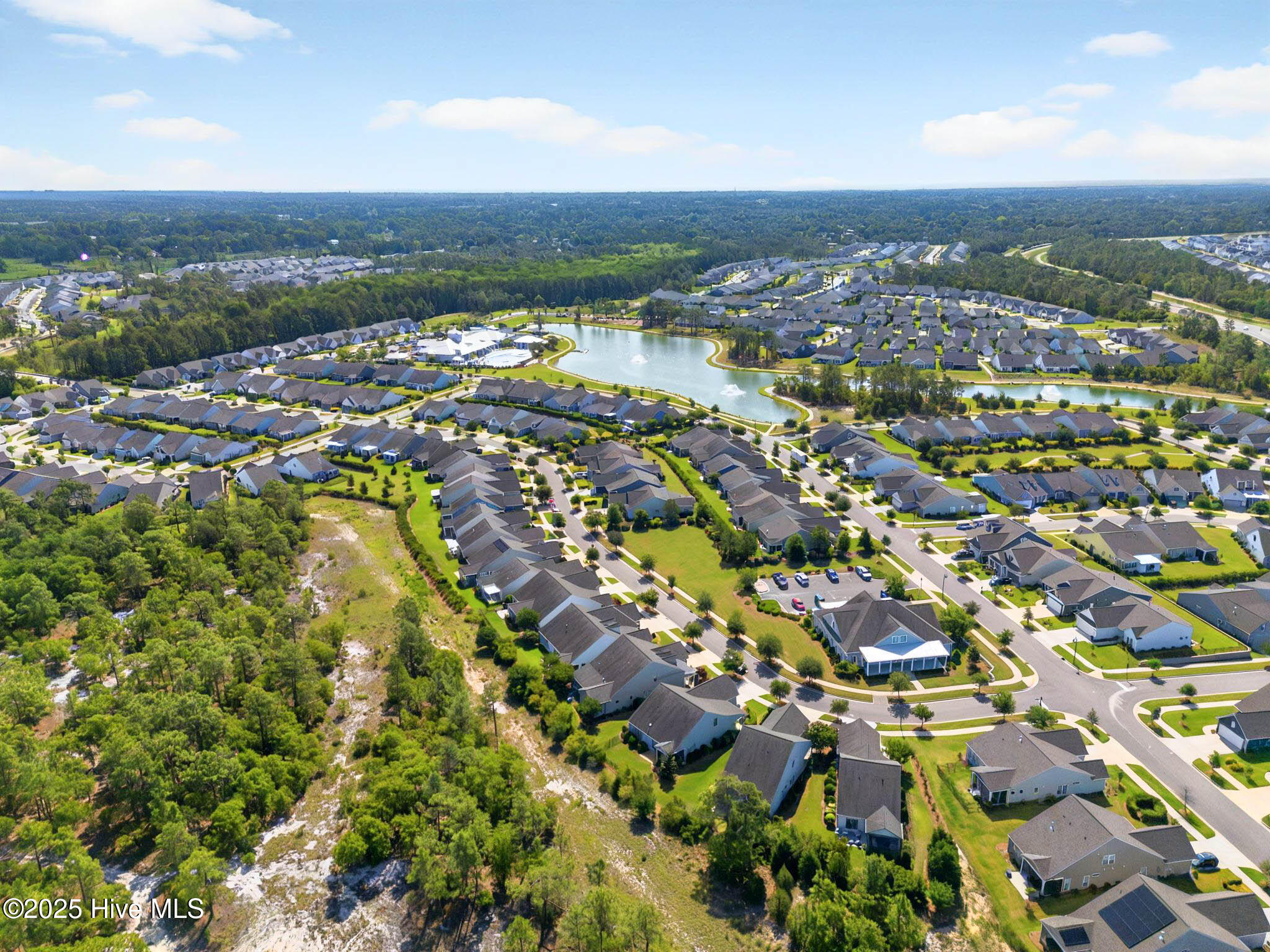 100509879 | Photo 41