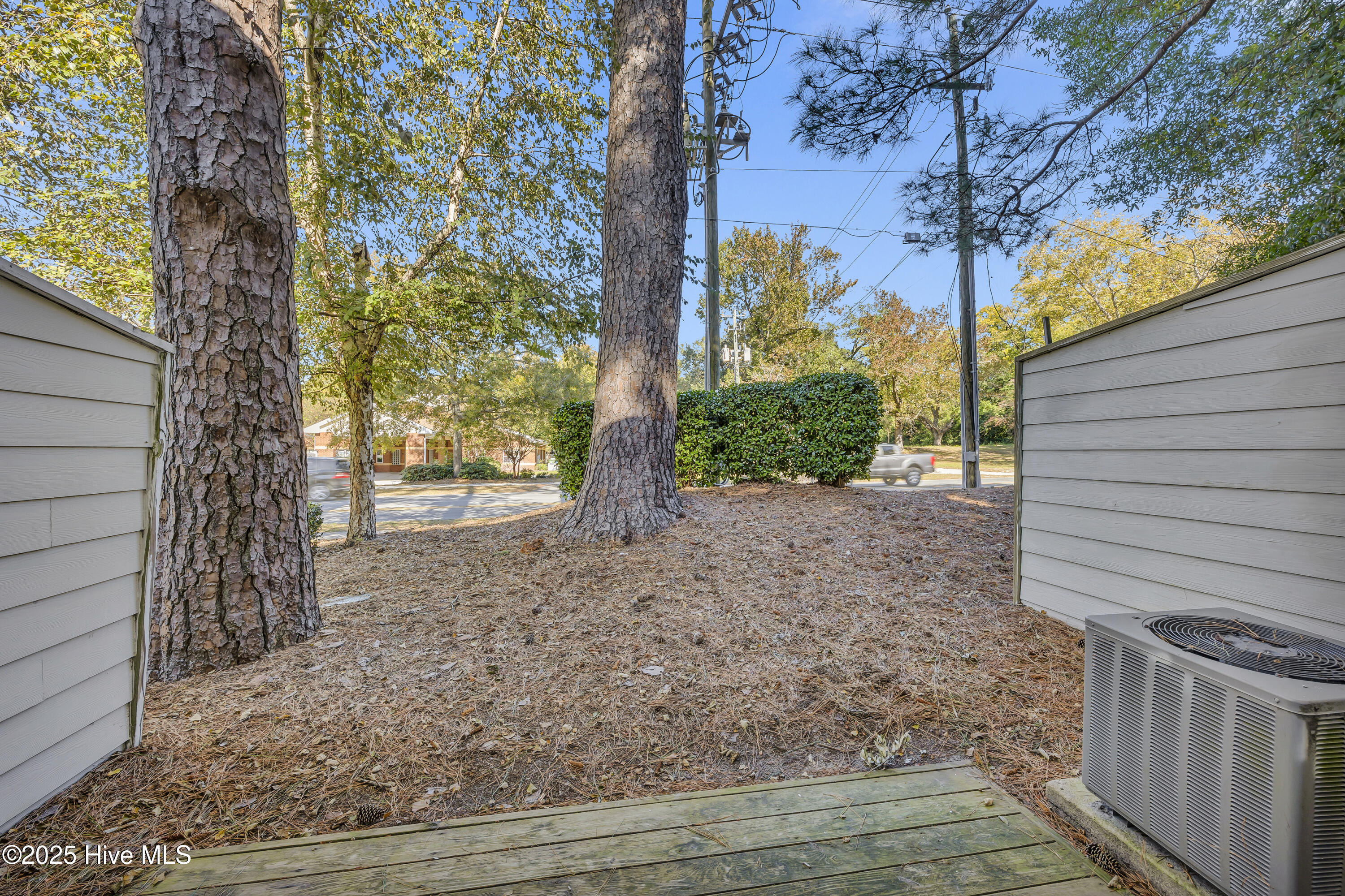 100538265 | Photo 22