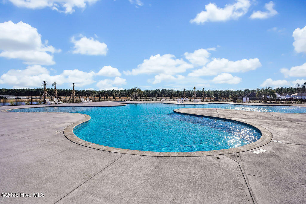 100546225 | Photo 24