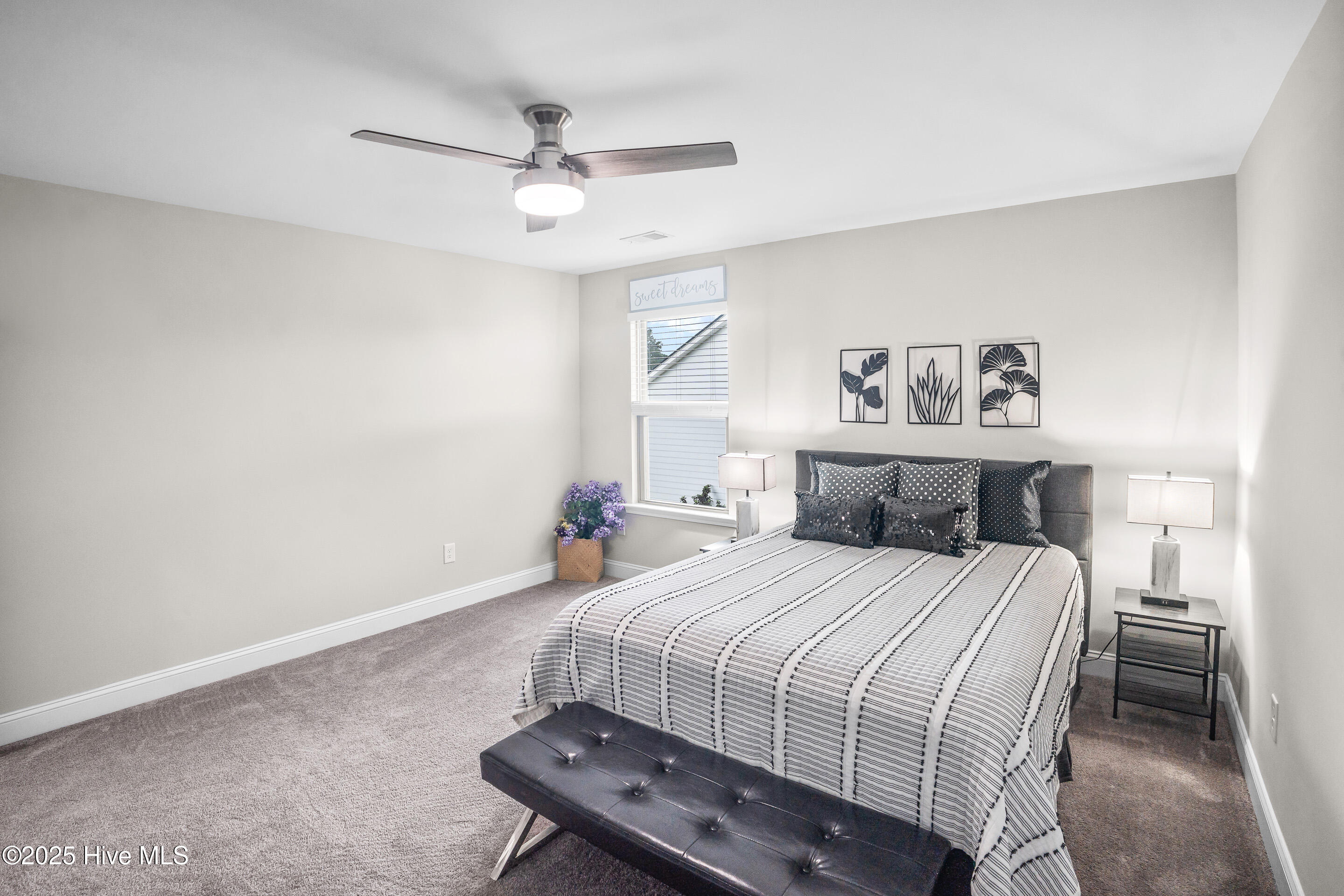 100526662 | Photo 55