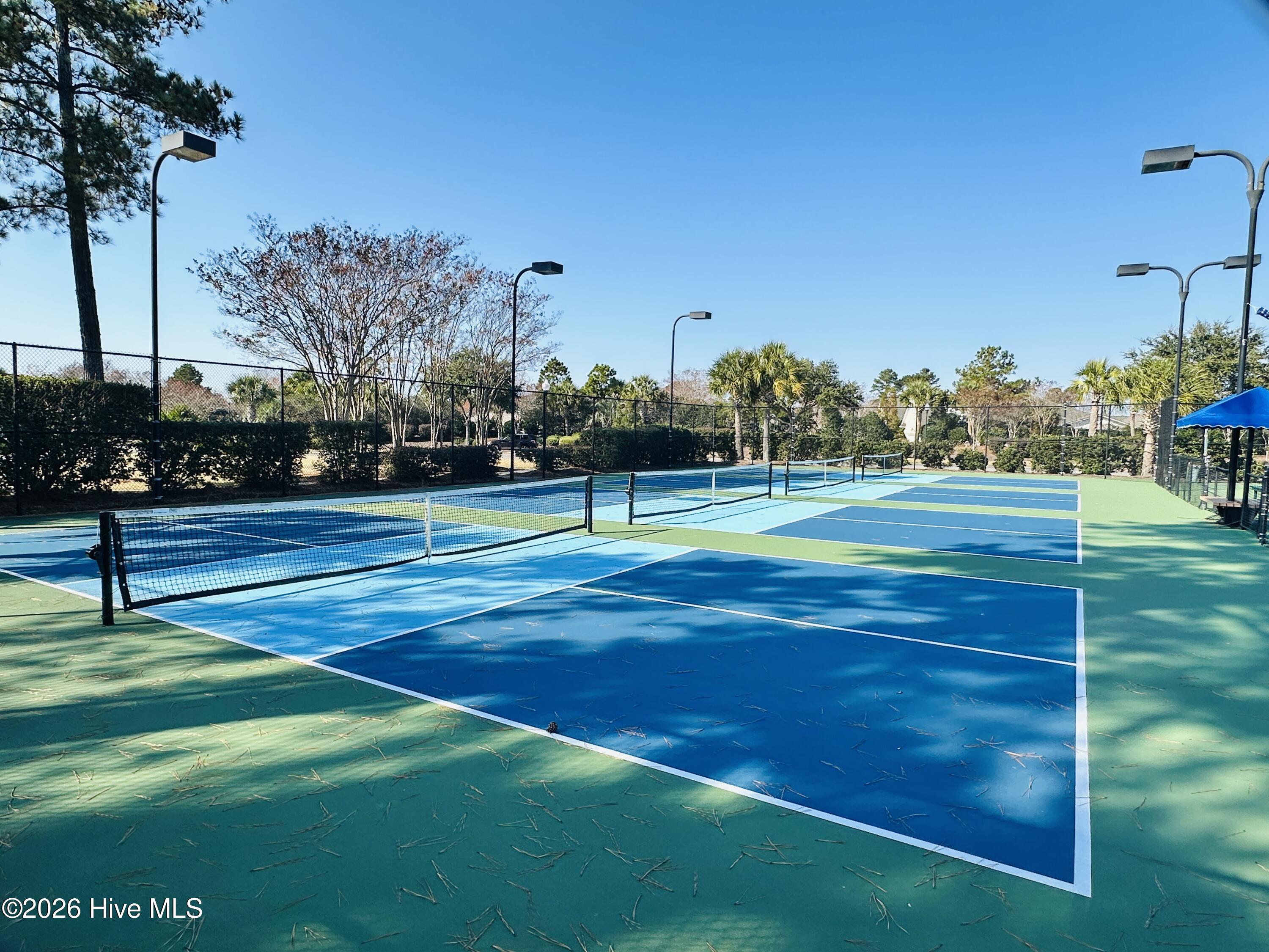 100554045 | Photo 62