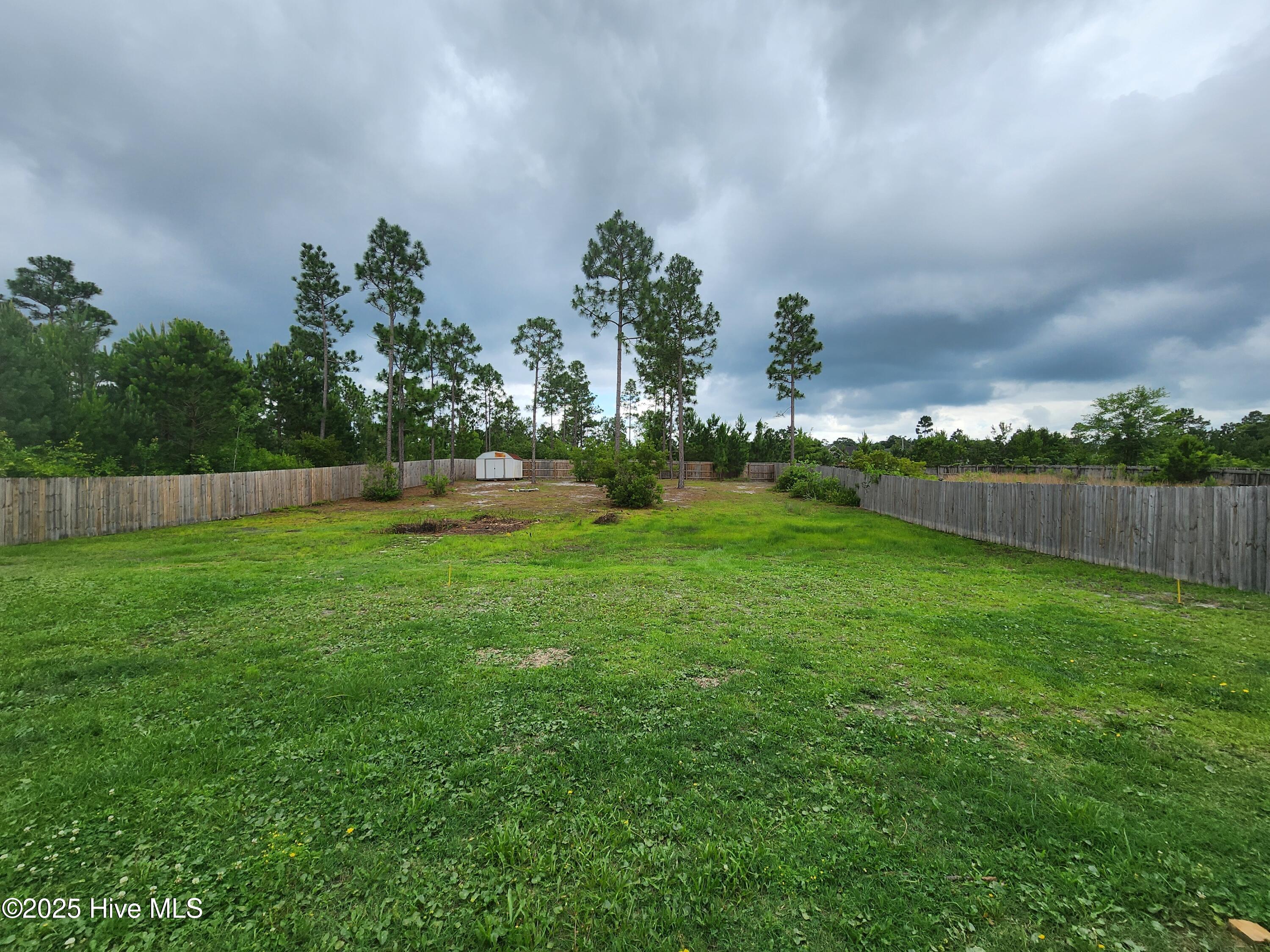 100563623 | Photo 36