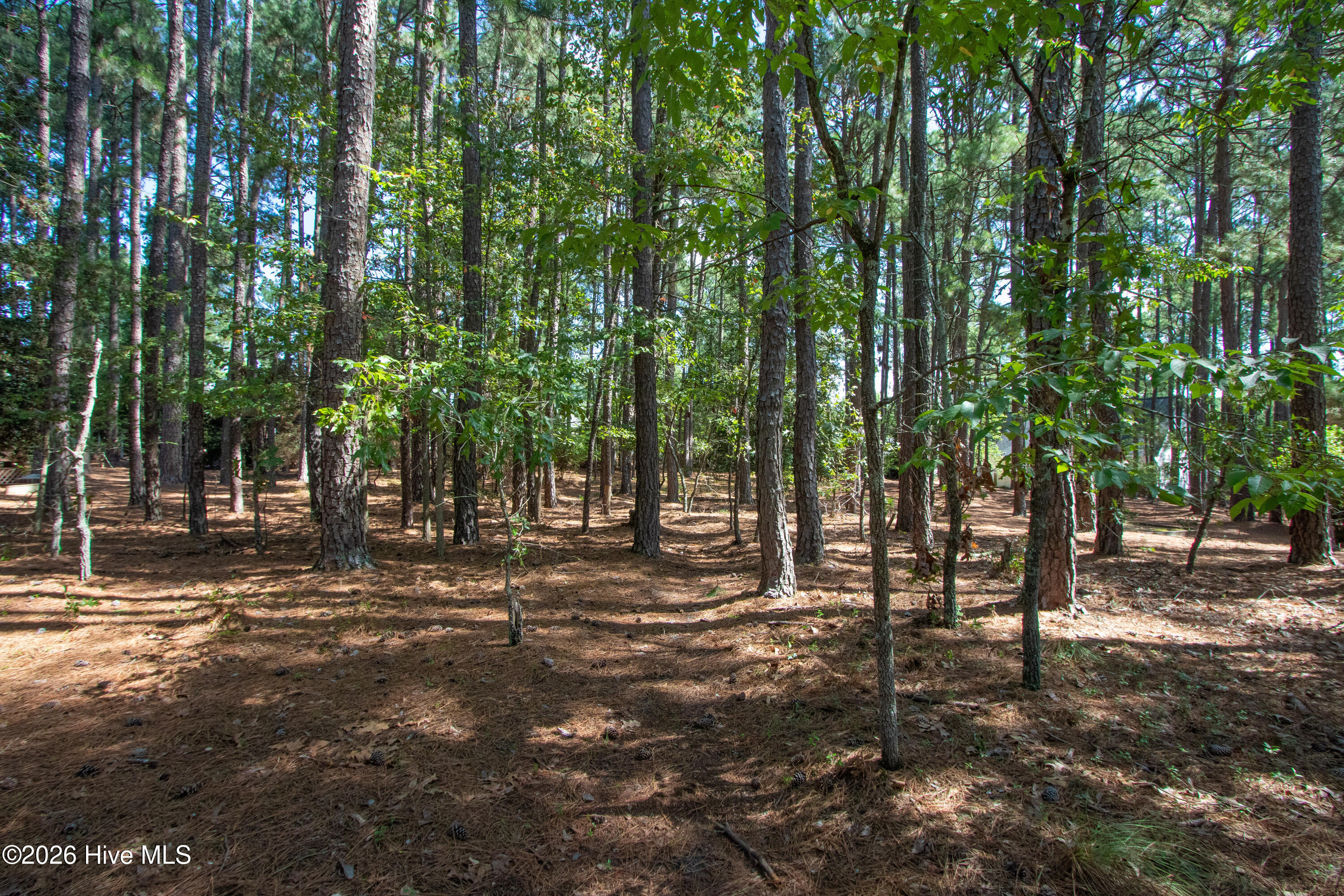 100604416 | Photo 2