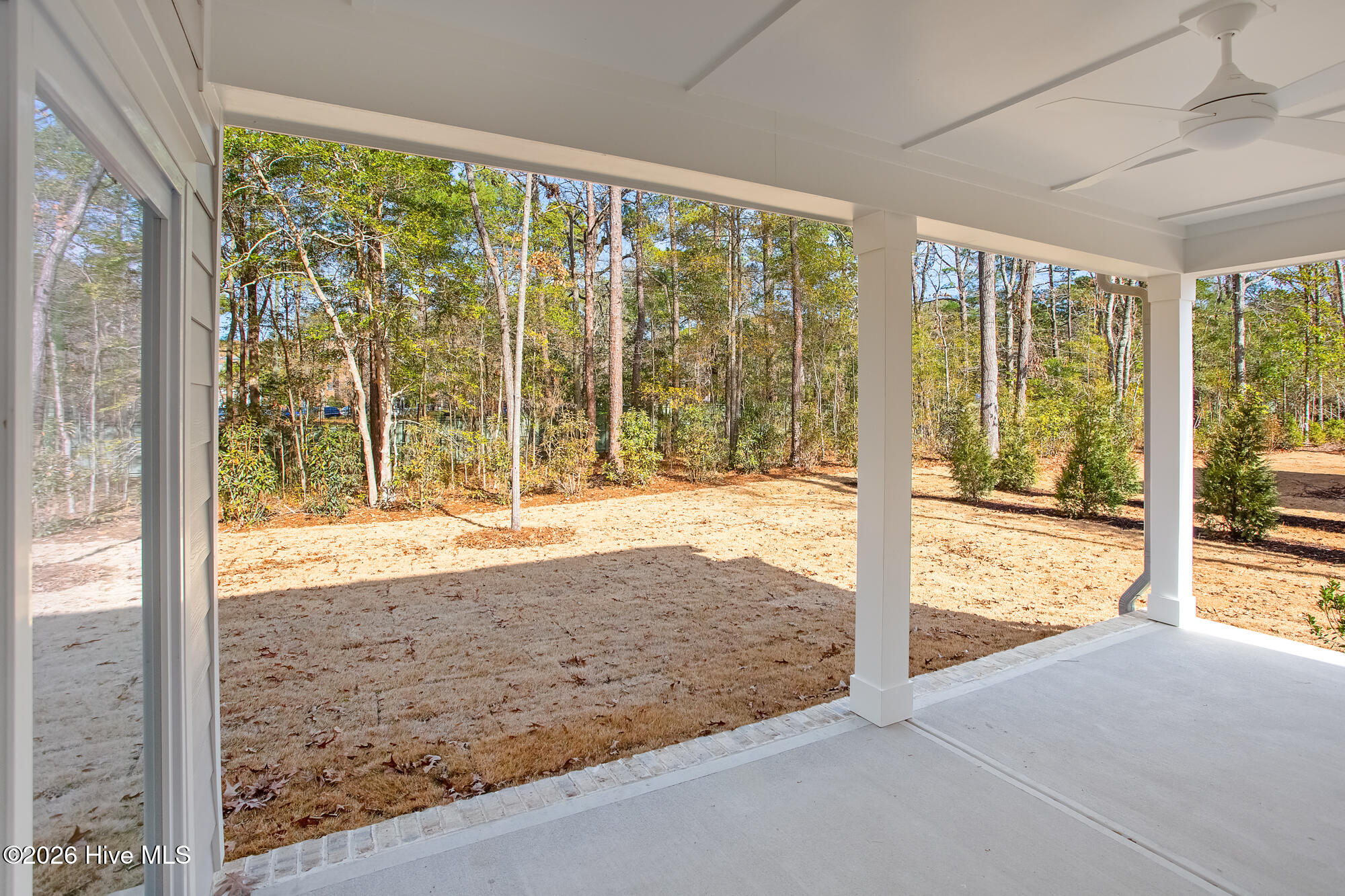 100559755 | Photo 37