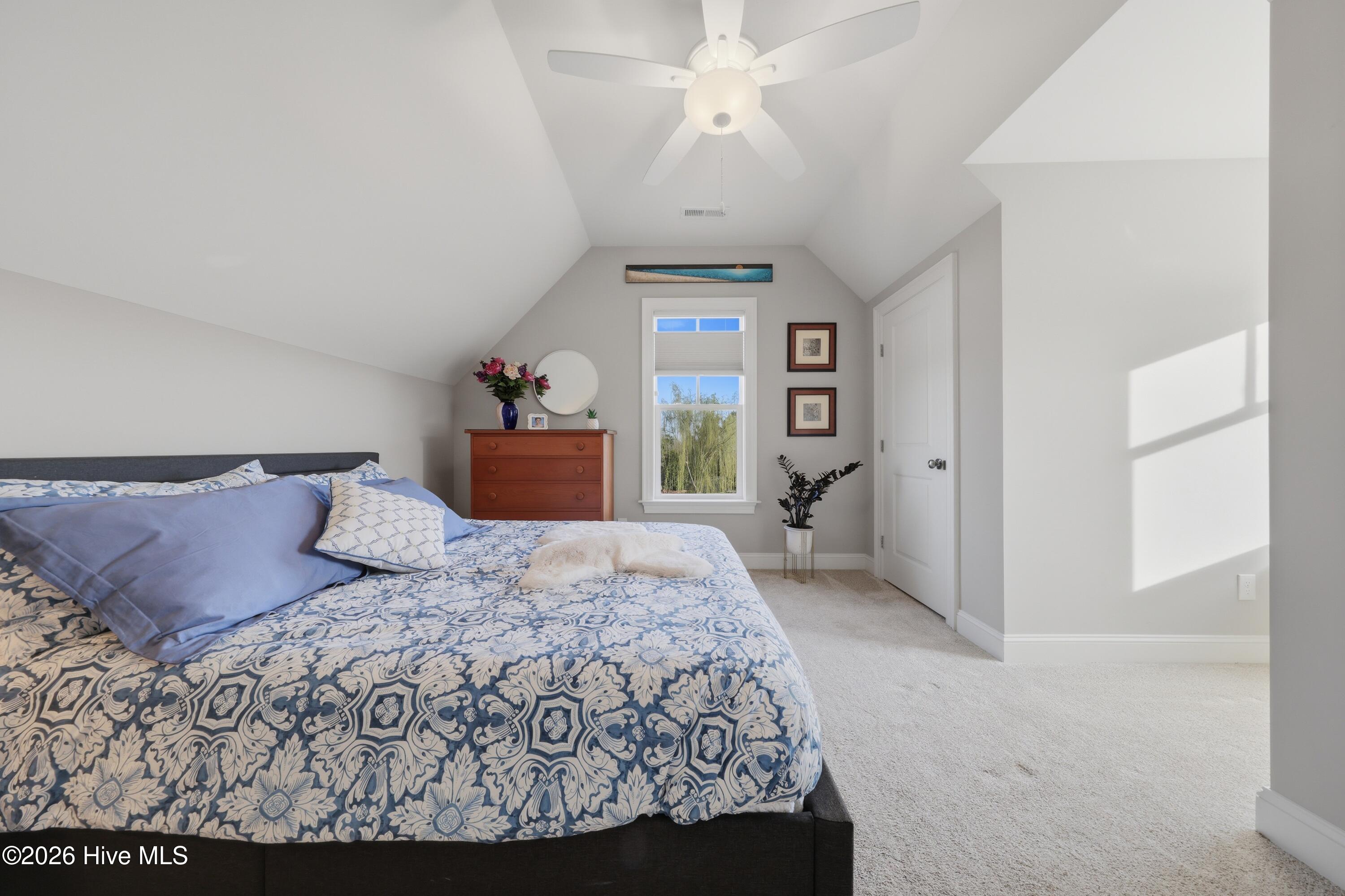 100560697 | Photo 55