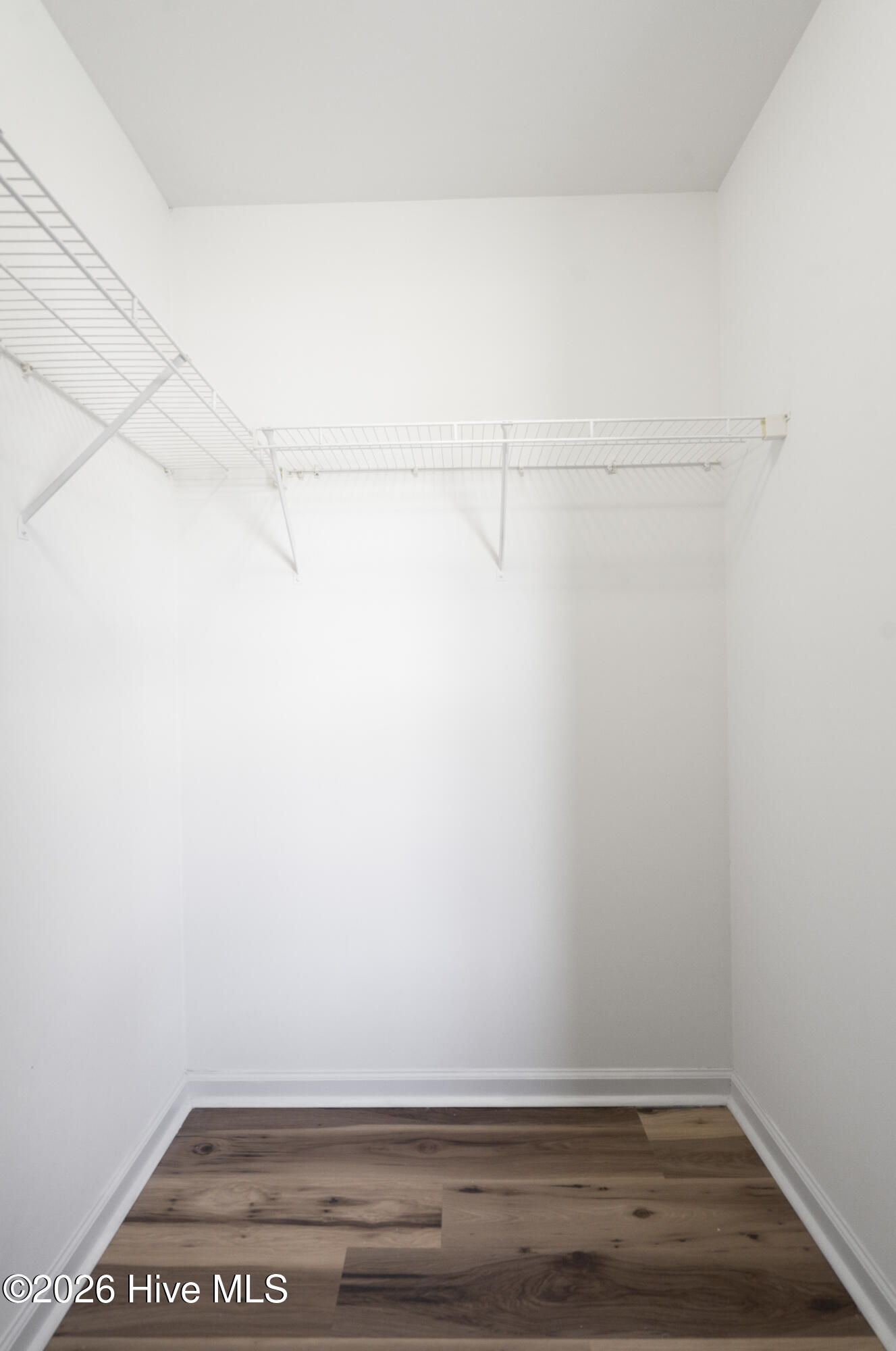 100564497 | Photo 19