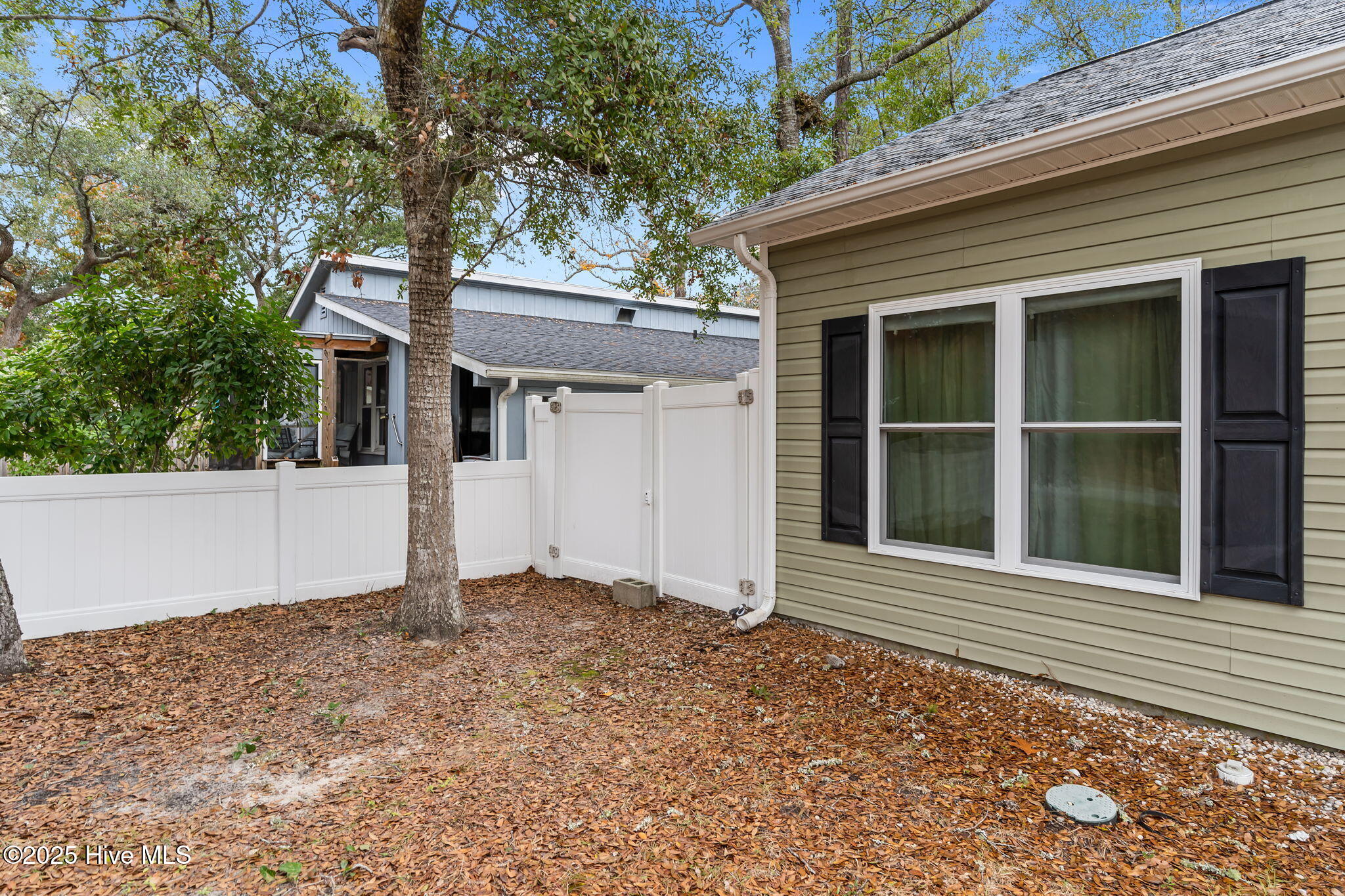 100543920 | Photo 22