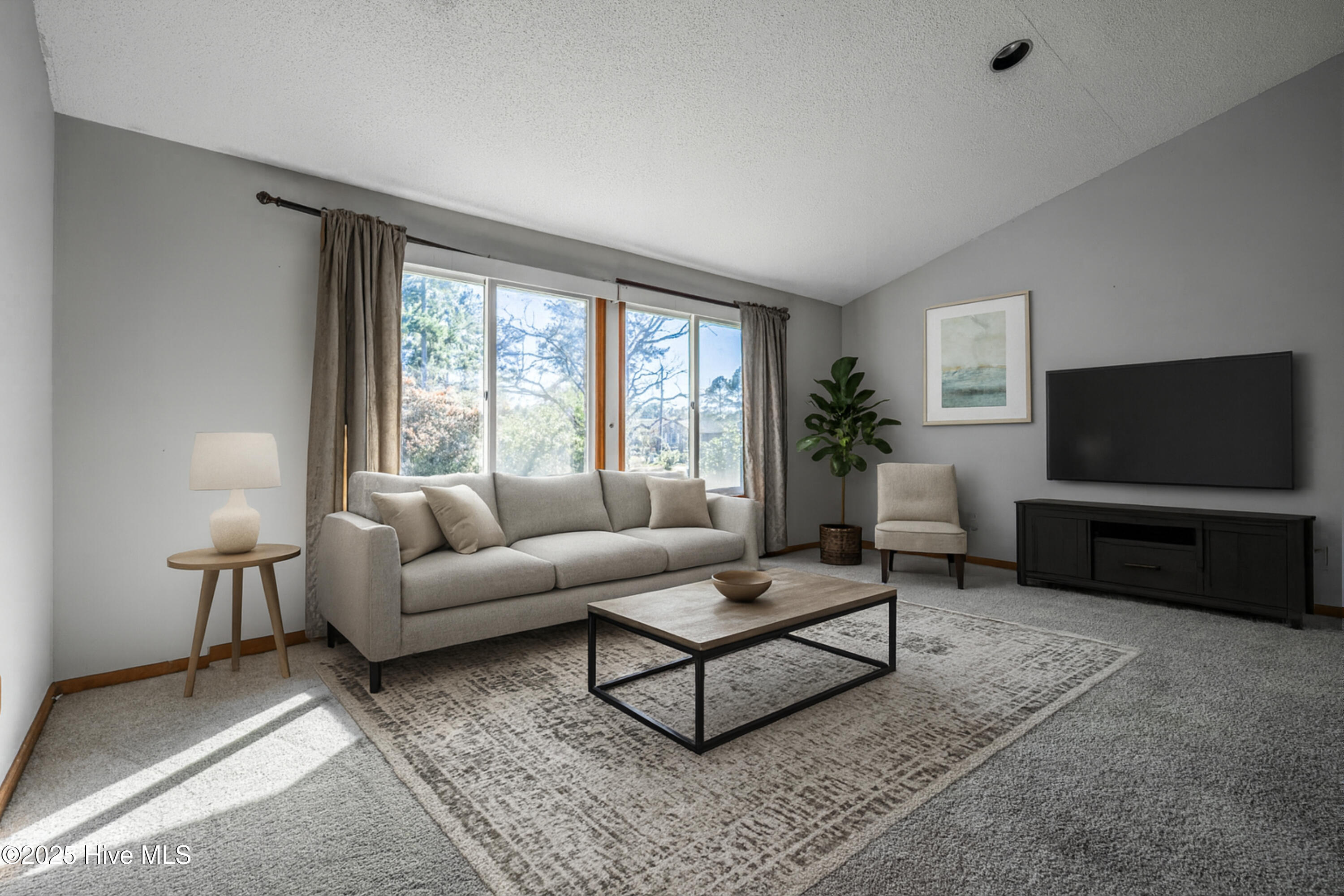 100536472 | Photo 13