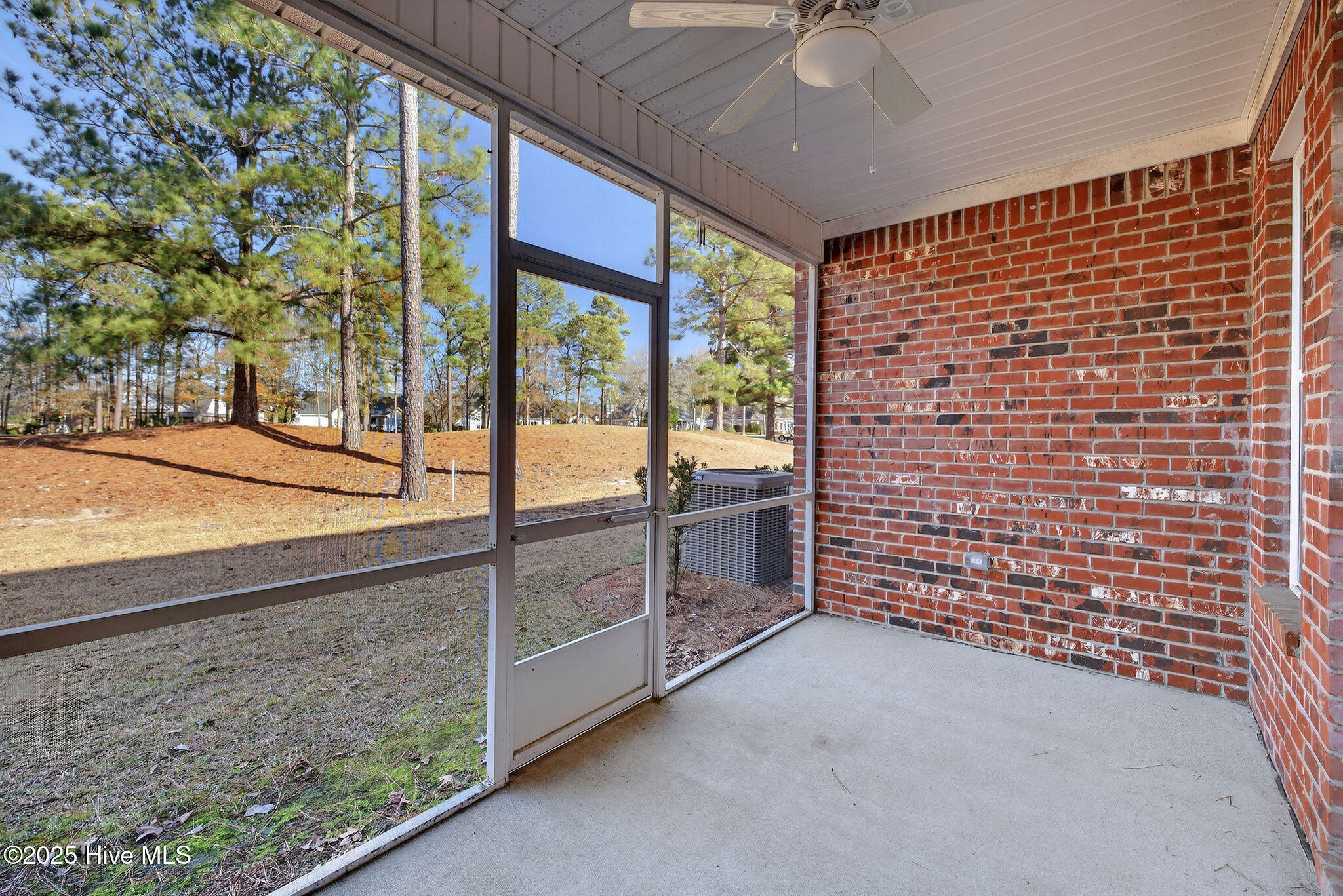 100547187 | Photo 31