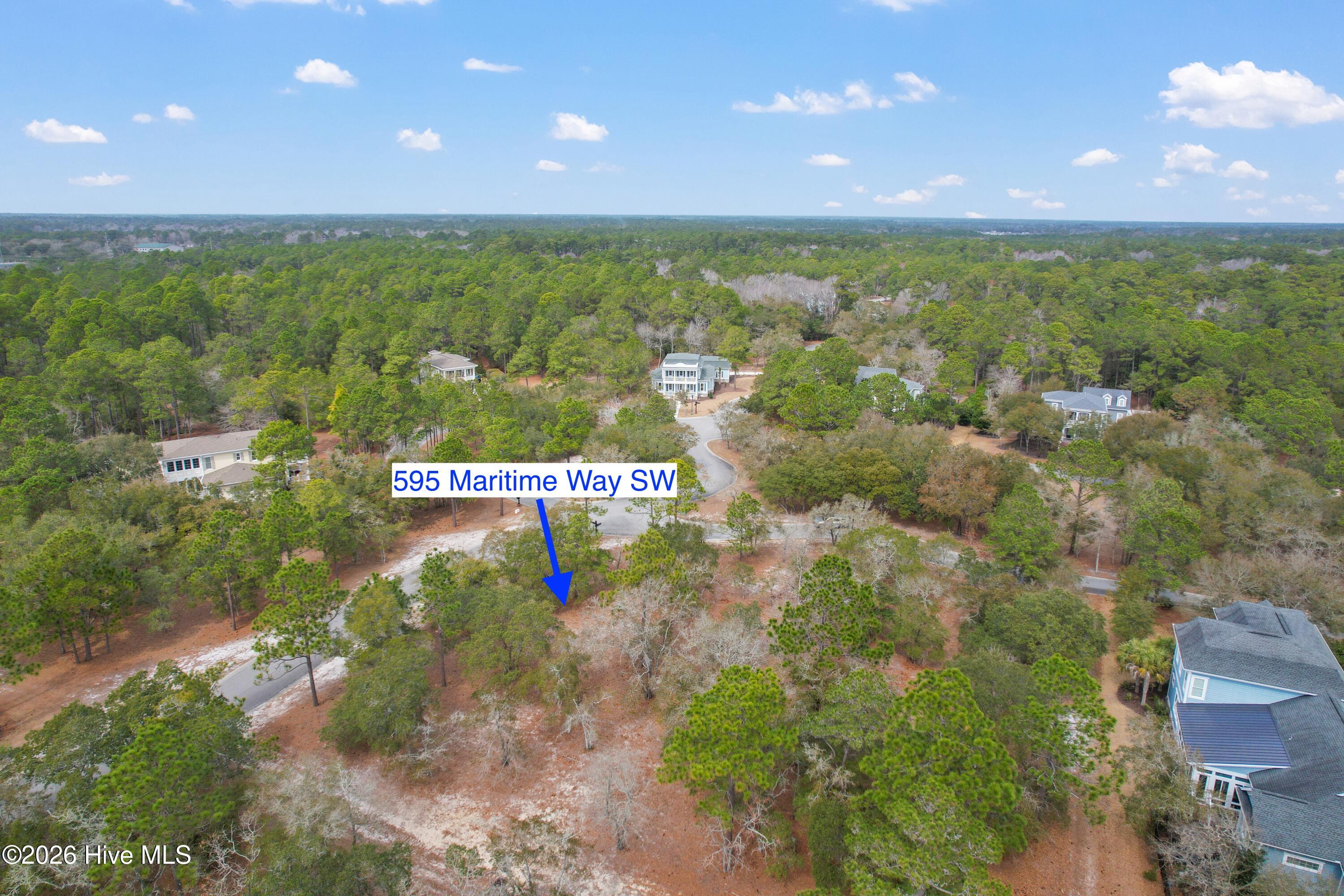 100548259 | Photo 15