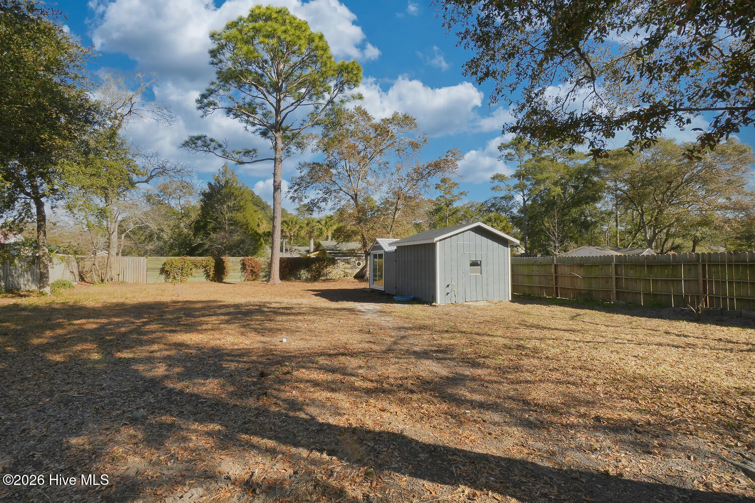 100546662 | Photo 22