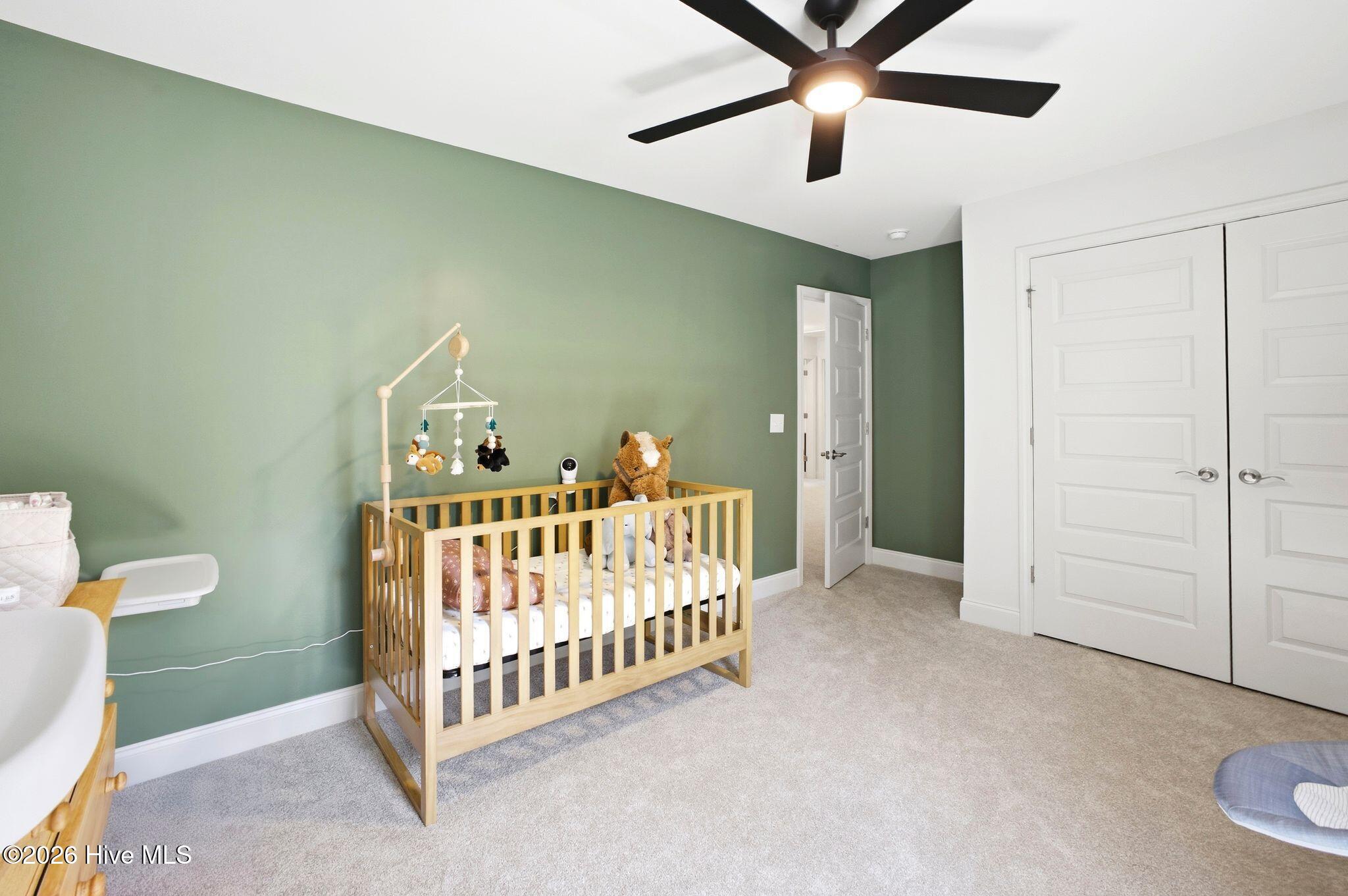 100568135 | Photo 52