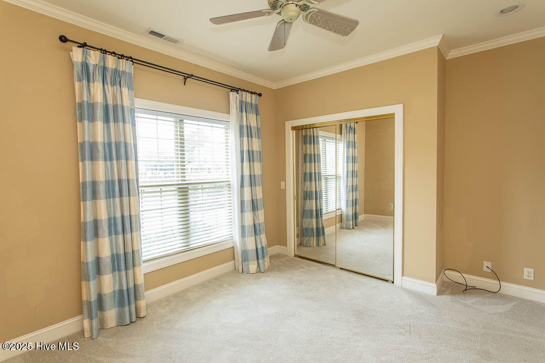 100526043 | Photo 34