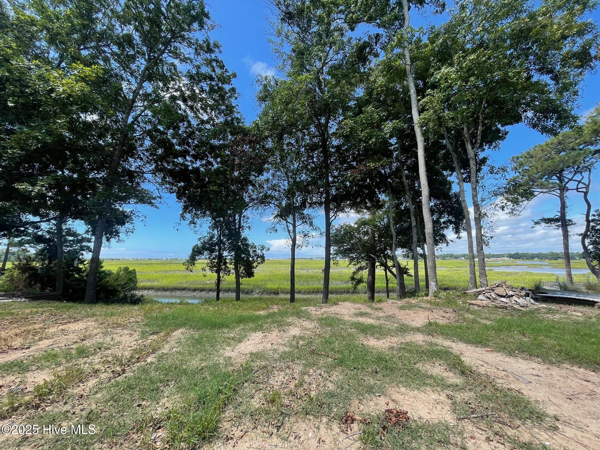 100523698 | Photo 25