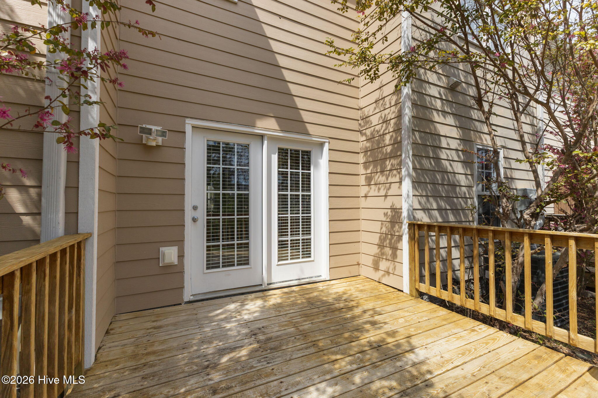 100563146 | Photo 34