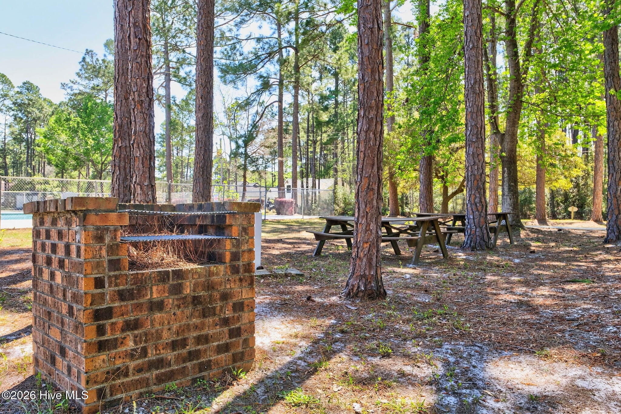 100564948 | Photo 55