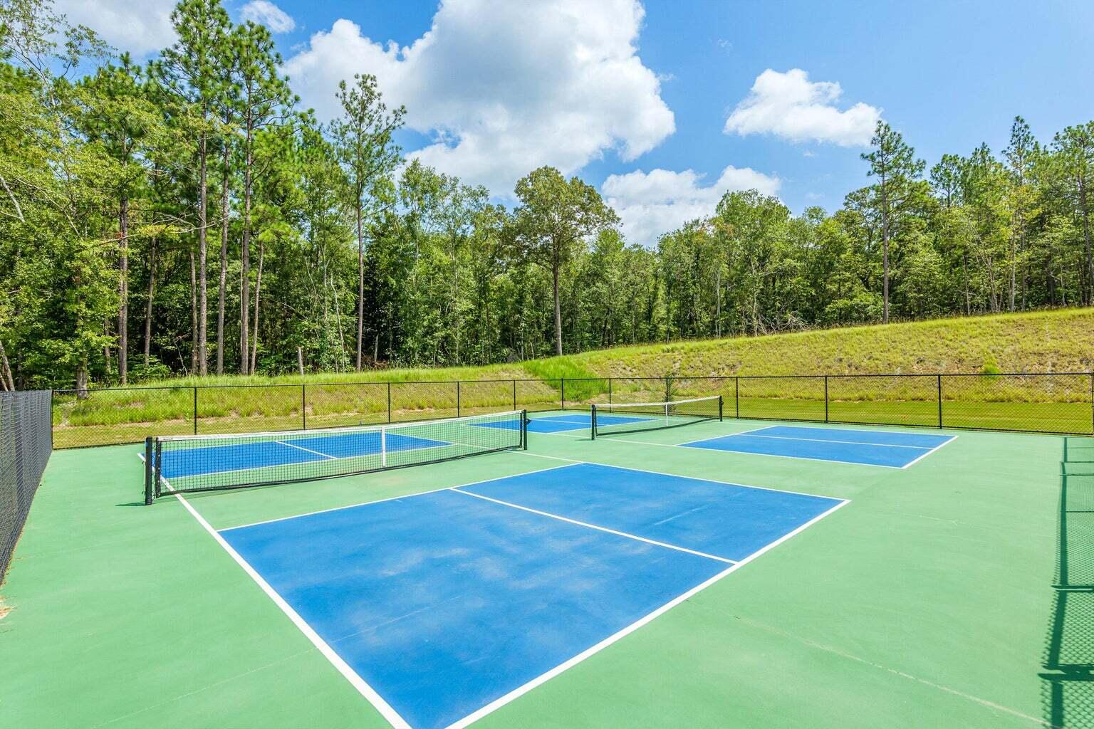 Clearwater Preserve pickleball courts