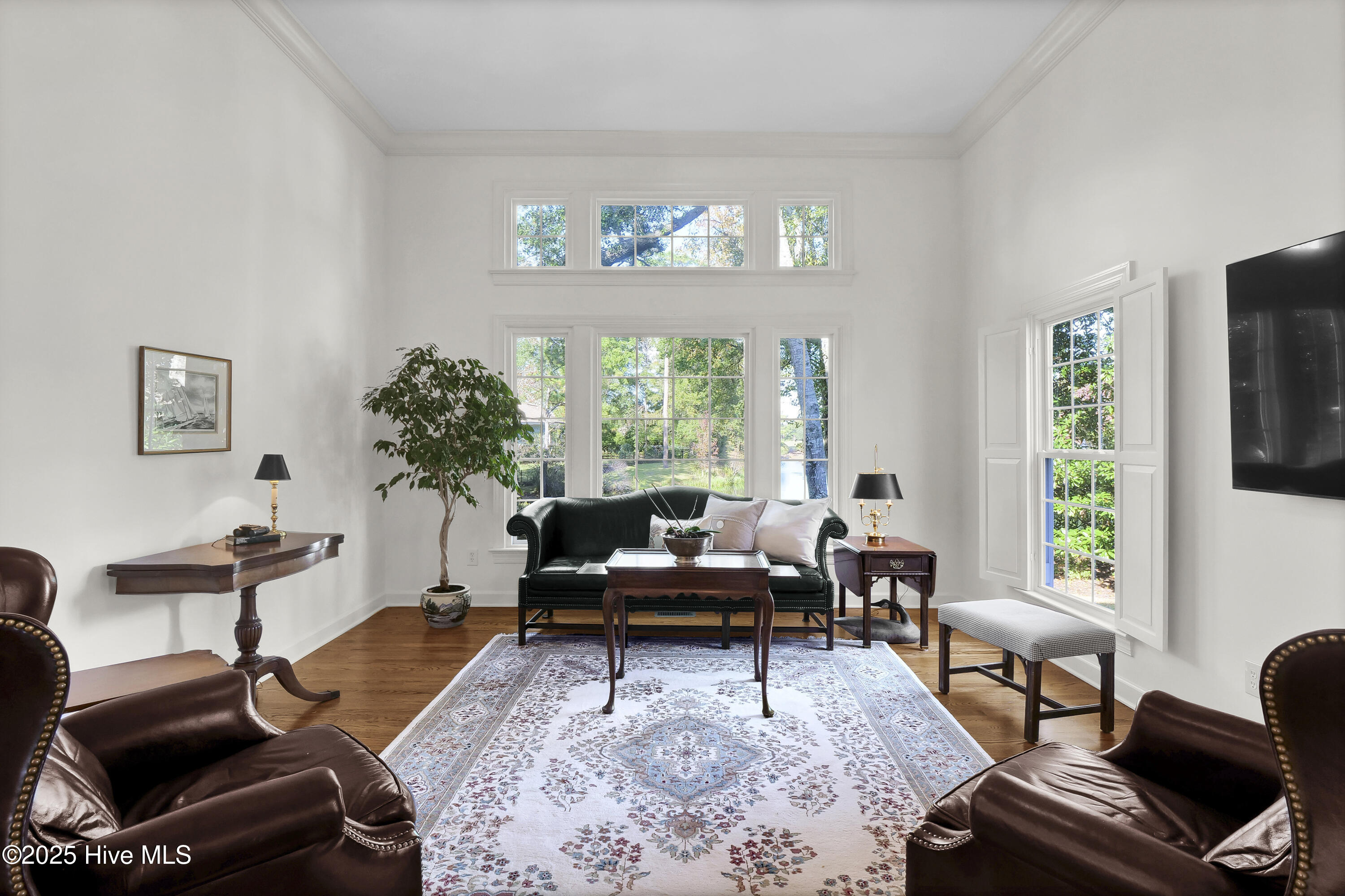 100541341 | Photo 18