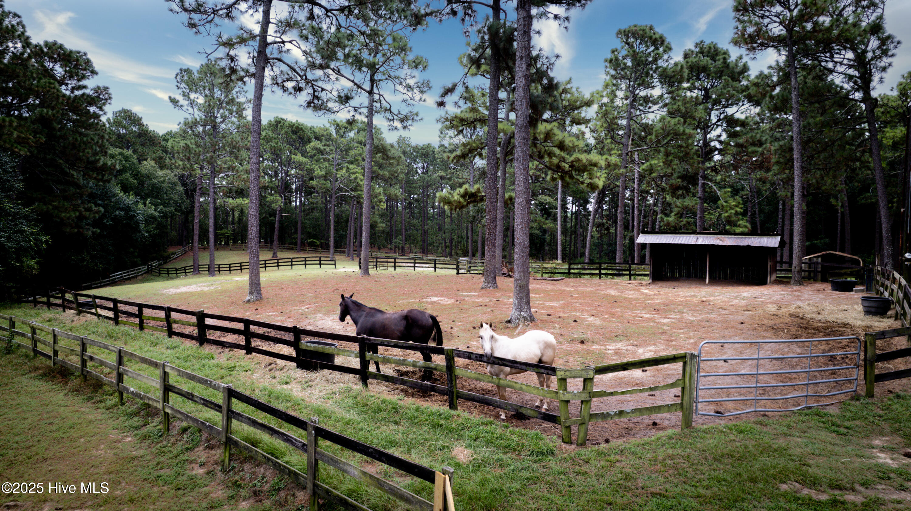 292 Bump A Long Lane, Southern Pines, NC, 28387