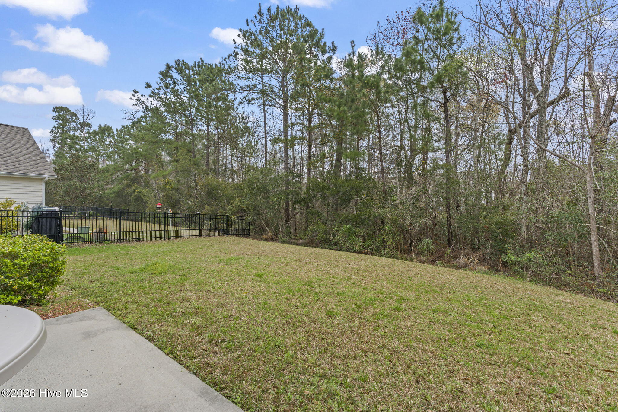 100559211 | Photo 28