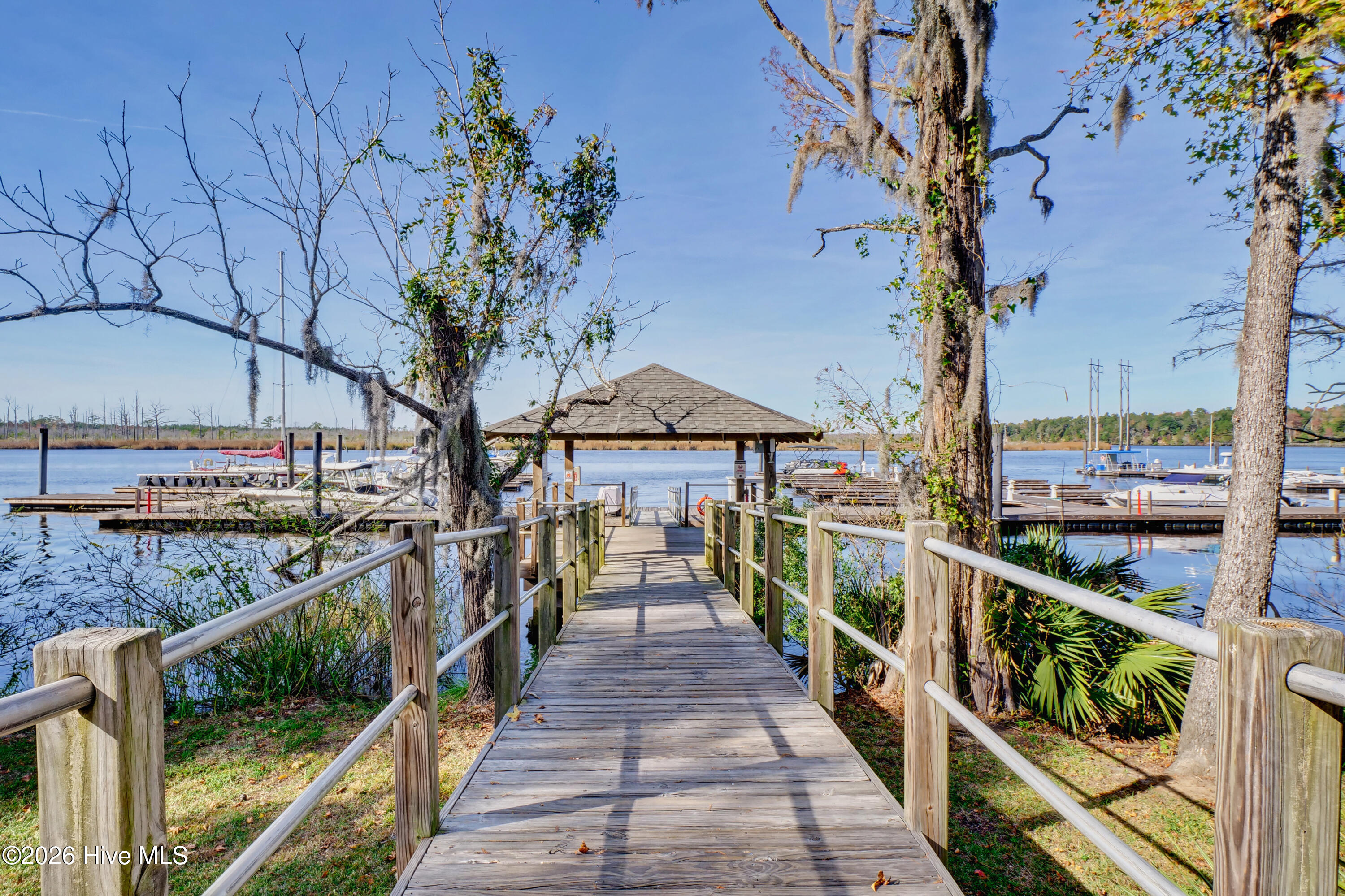 100555264 | Photo 65