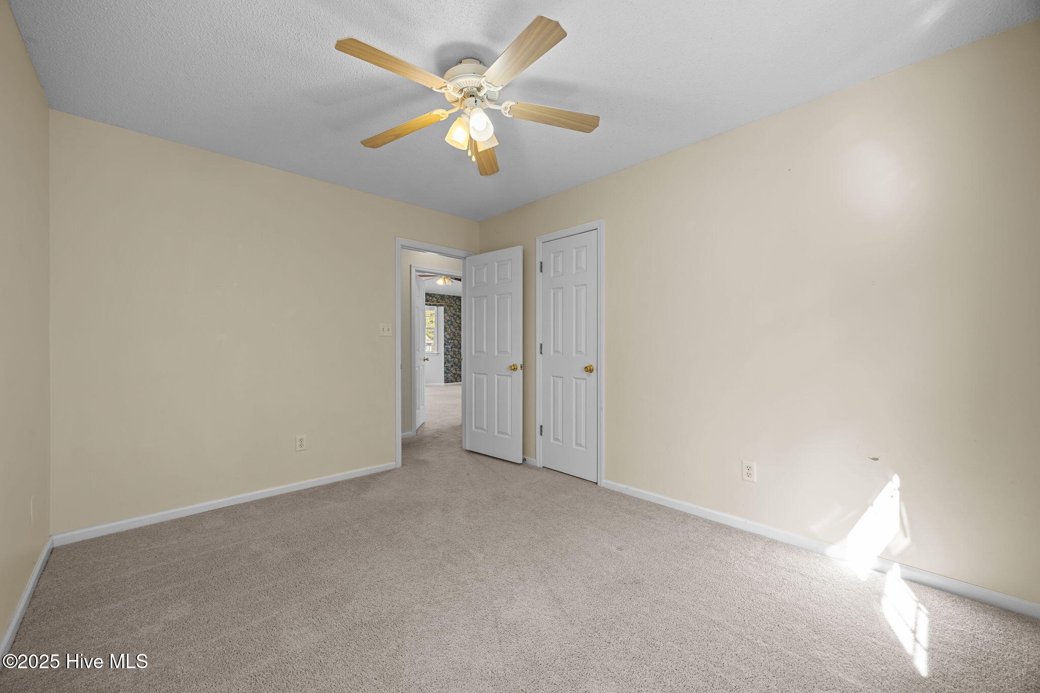 100541595 | Photo 31