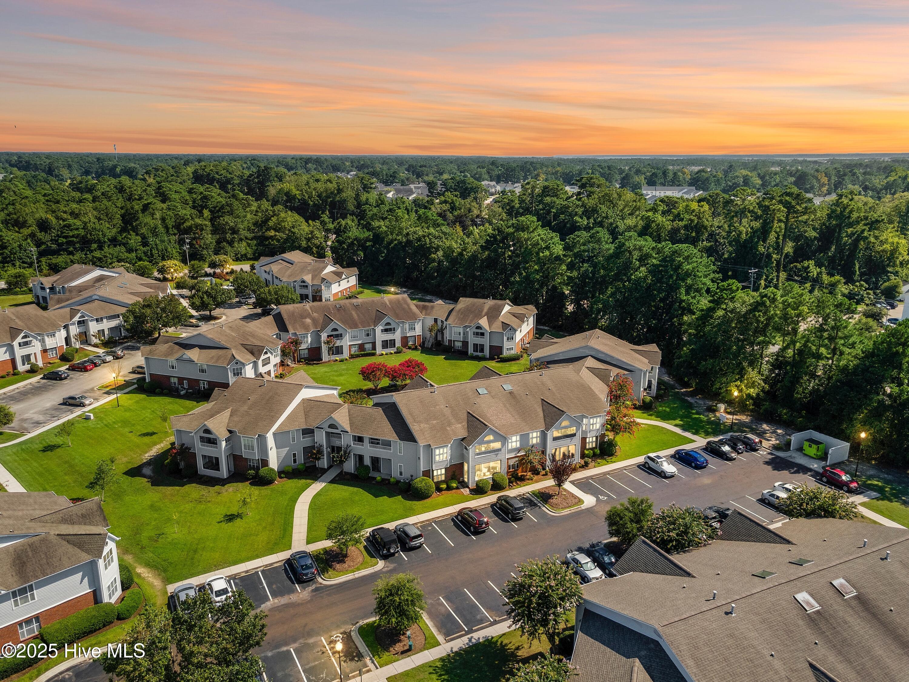 100548408 | Photo 32