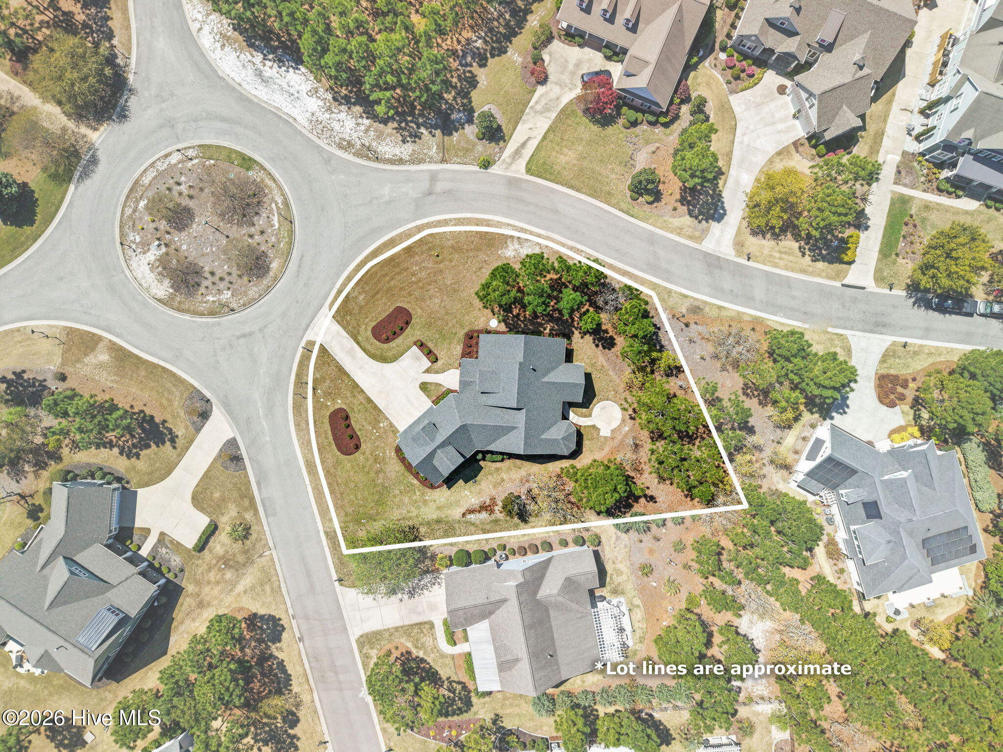 100564943 | Photo 54