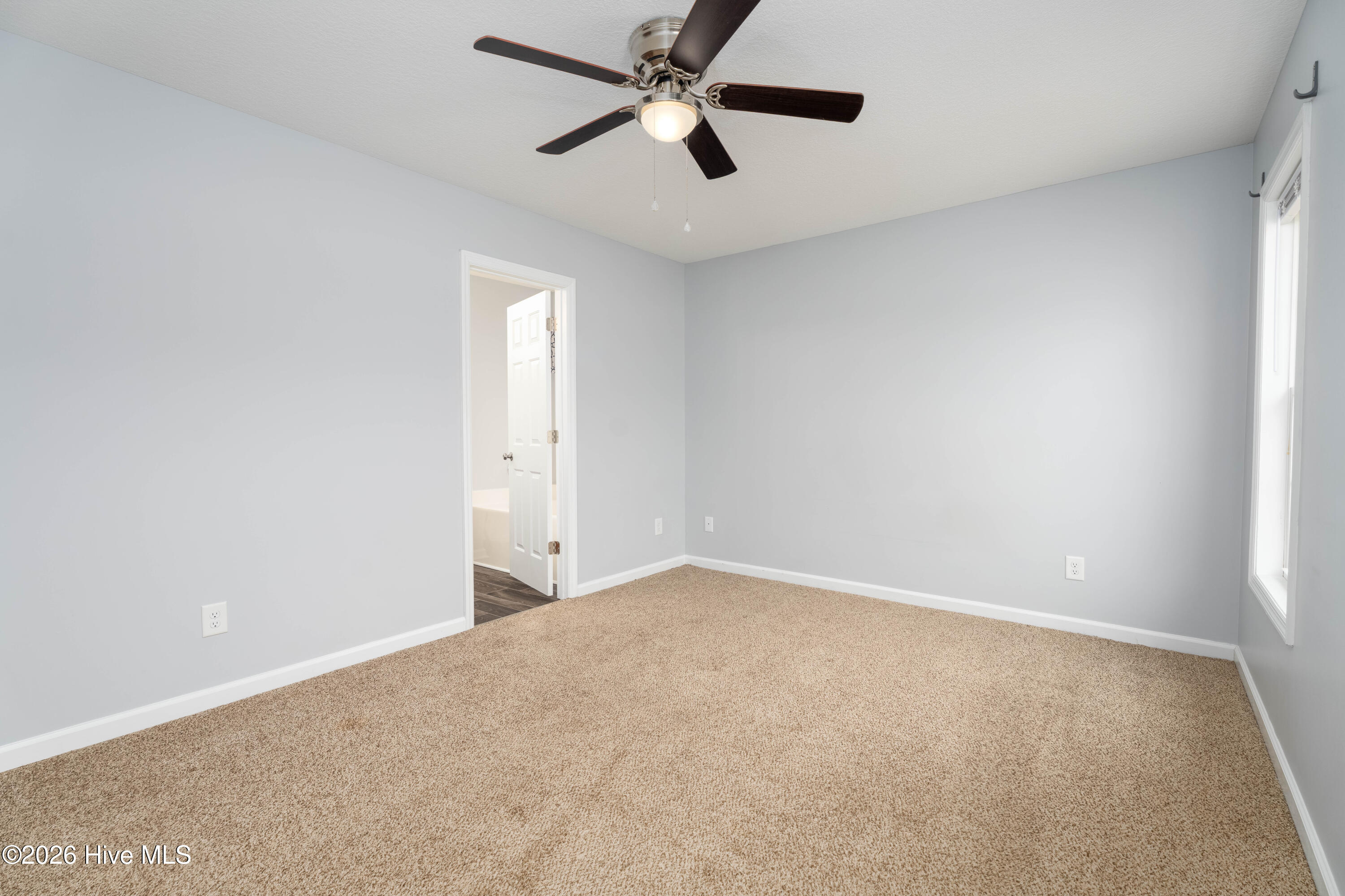 375 Nine Mile Road, Maple Hill, NC 28454 – photo 13: 375 Nine Mile Road-18
