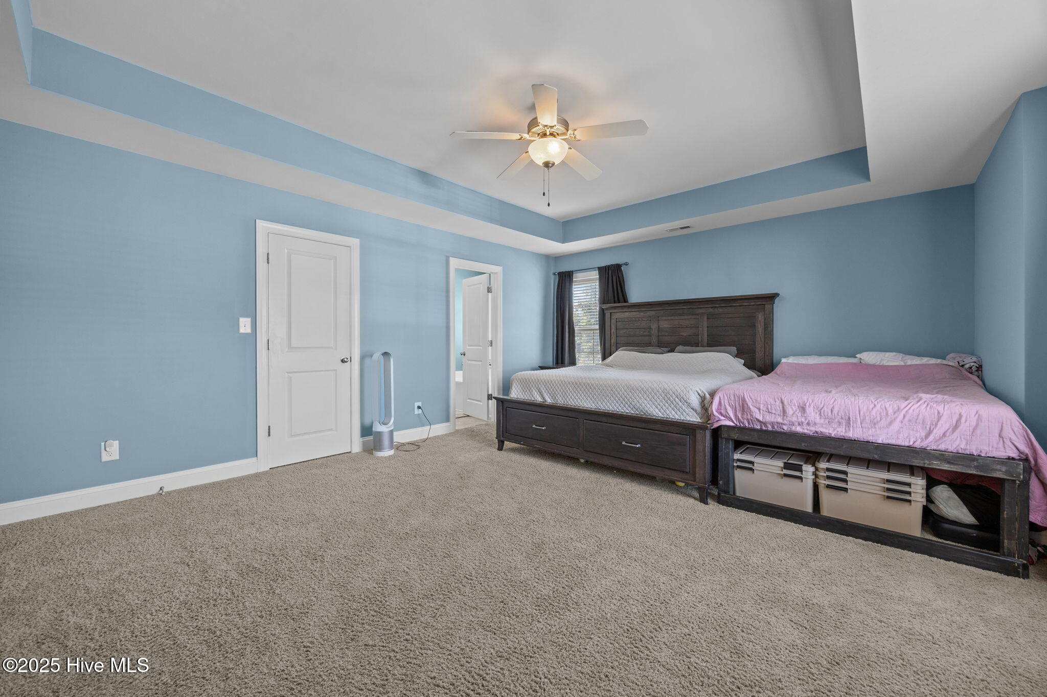 100533509 | Photo 18