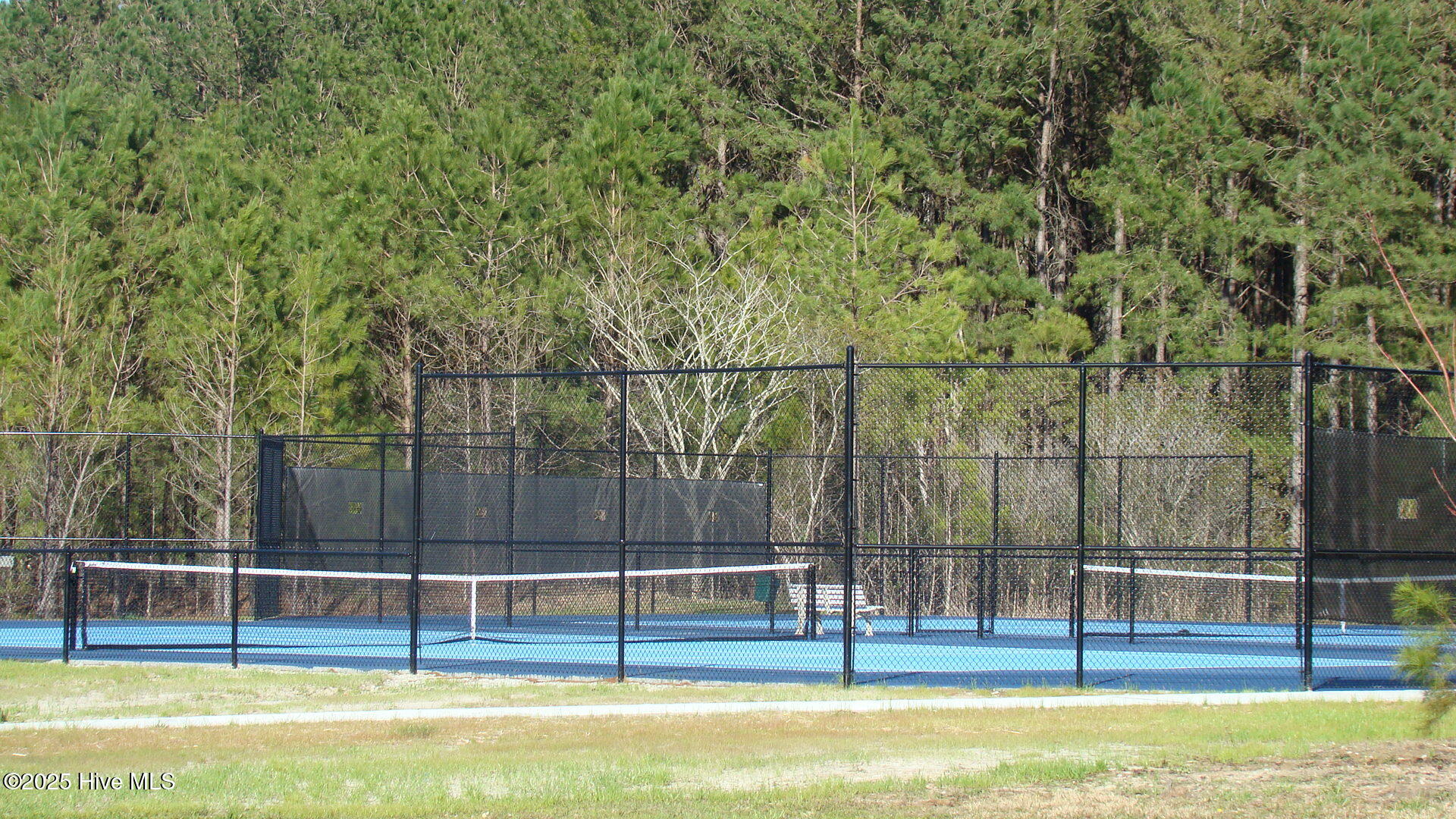 100516325 | Photo 67