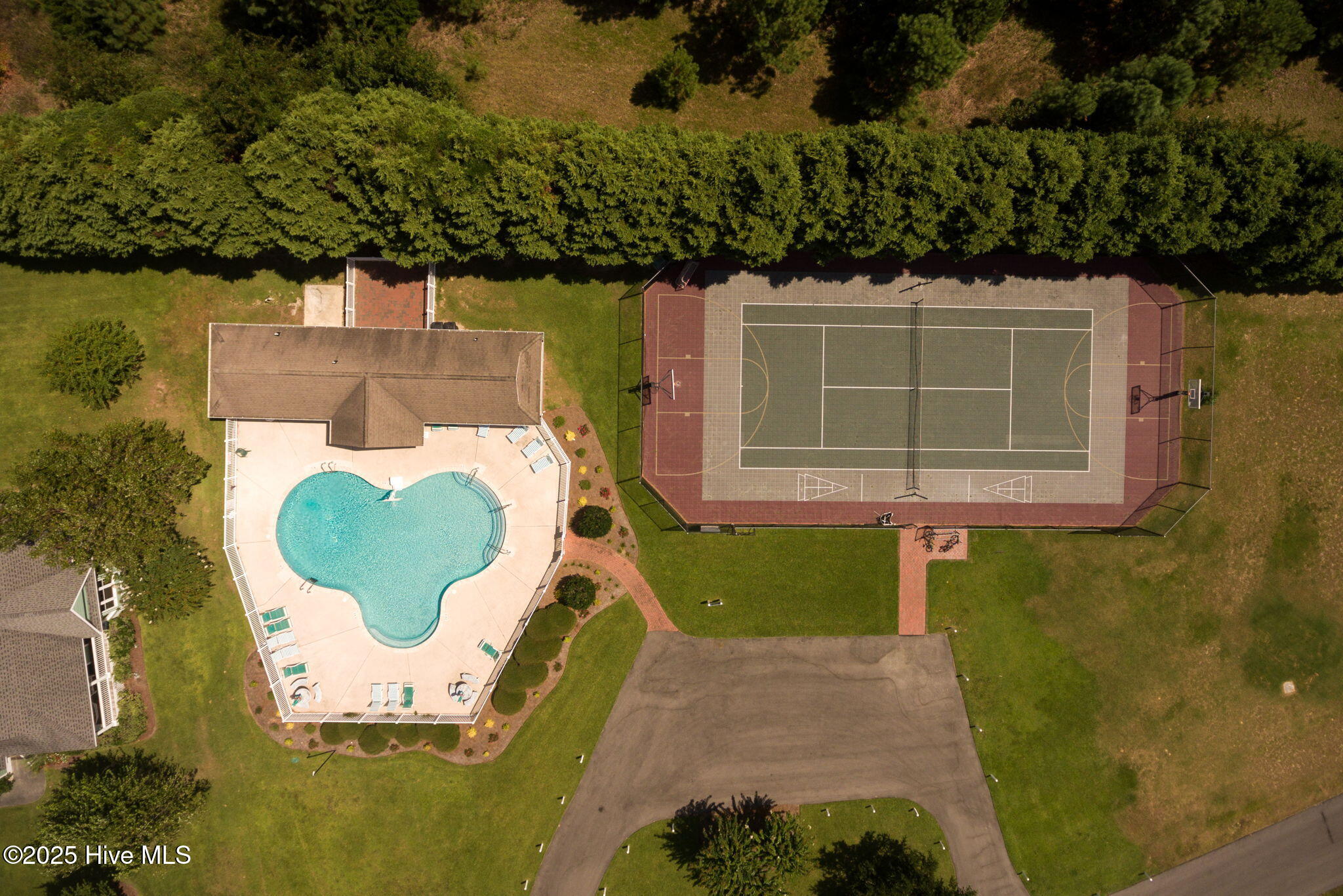 100556100 | Photo 26