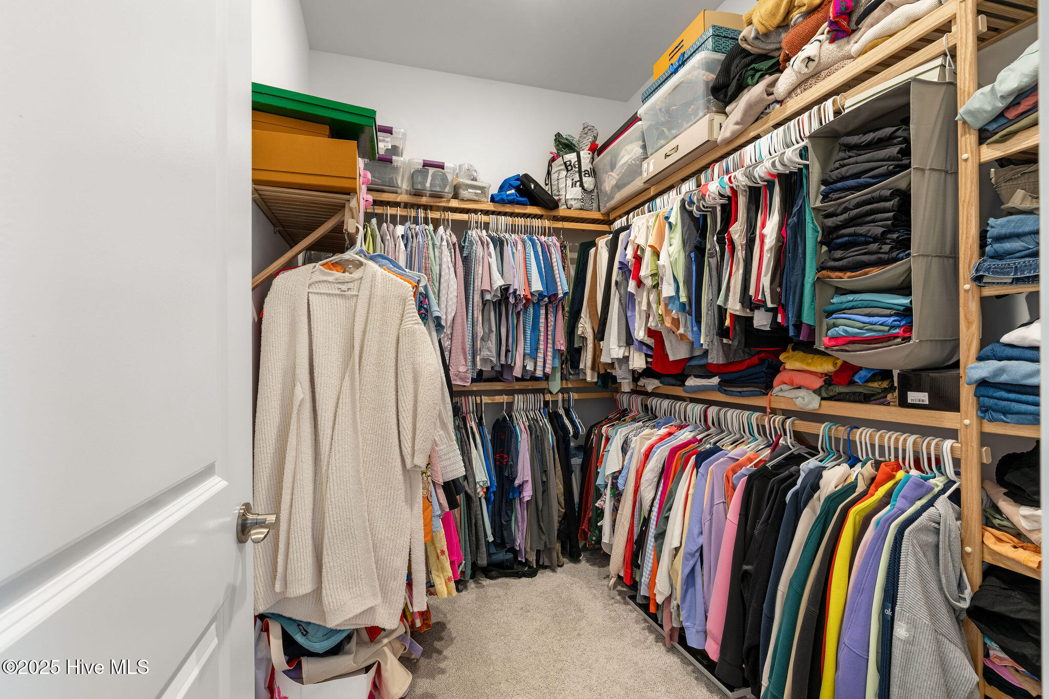 100527939 | Photo 31