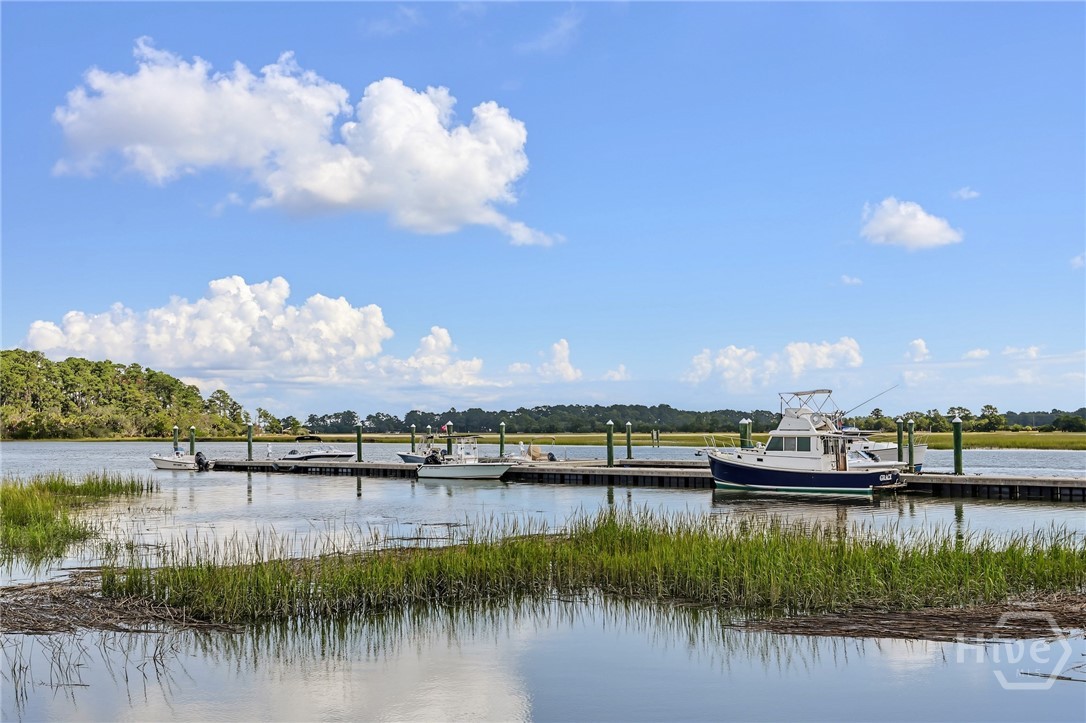Wylly Island Community Dock