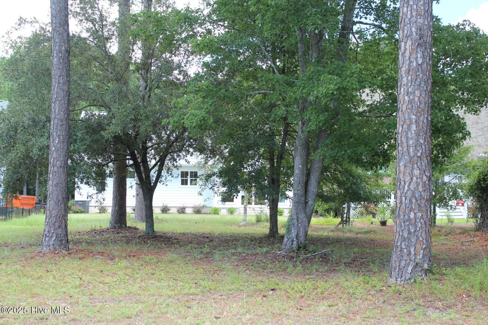 100490321 | Photo 54