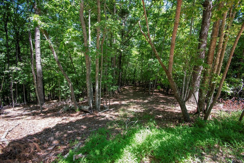 337 Simpson Mountain Road, Murphy, NC 28906 Listing Photo  29