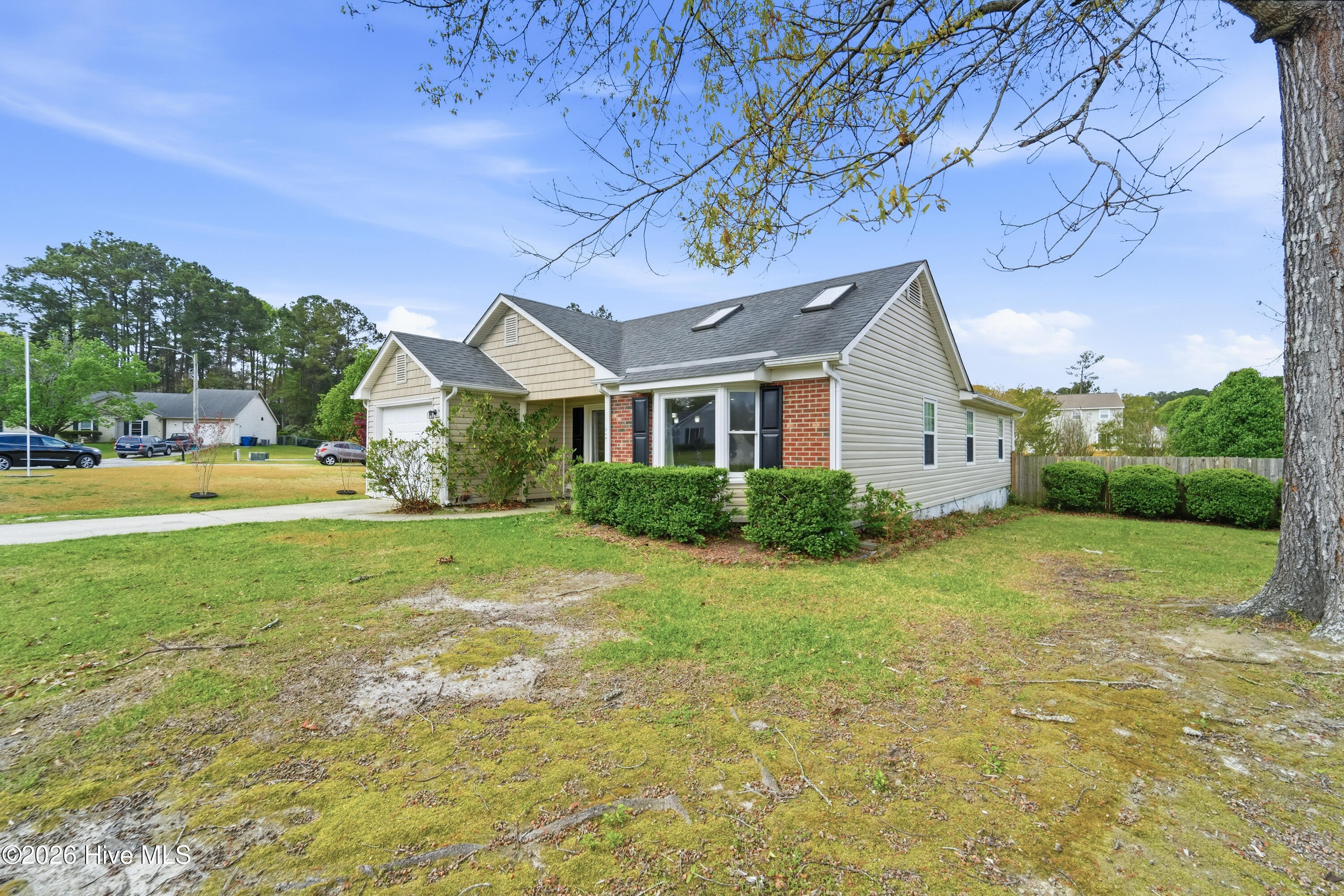 100559067 | Photo 12