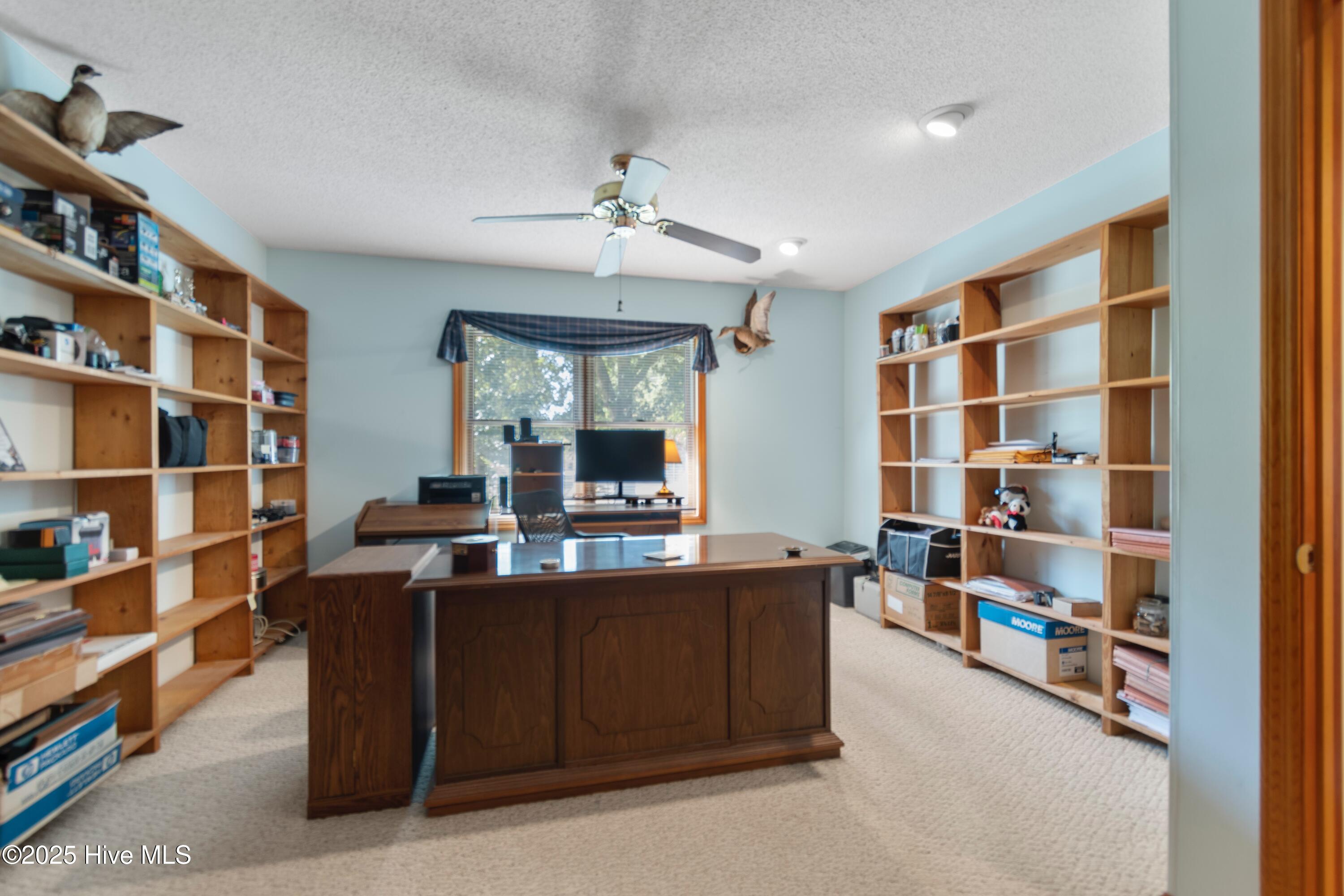 100533822 | Photo 12