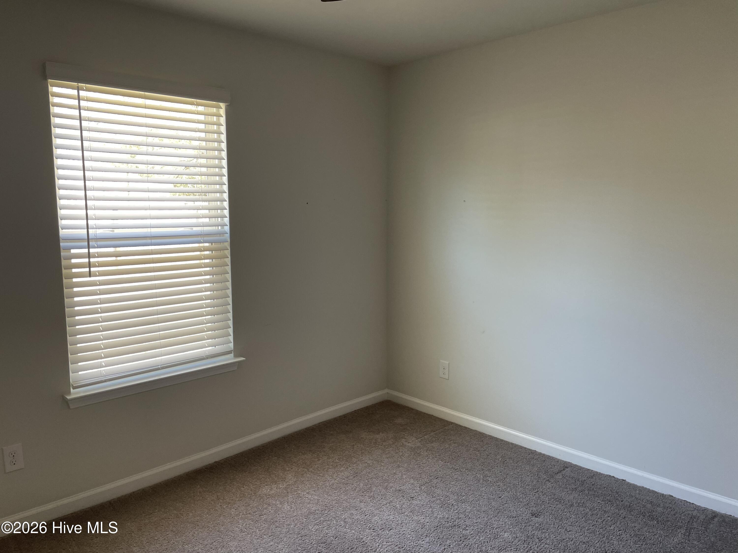 100562231 | Photo 22