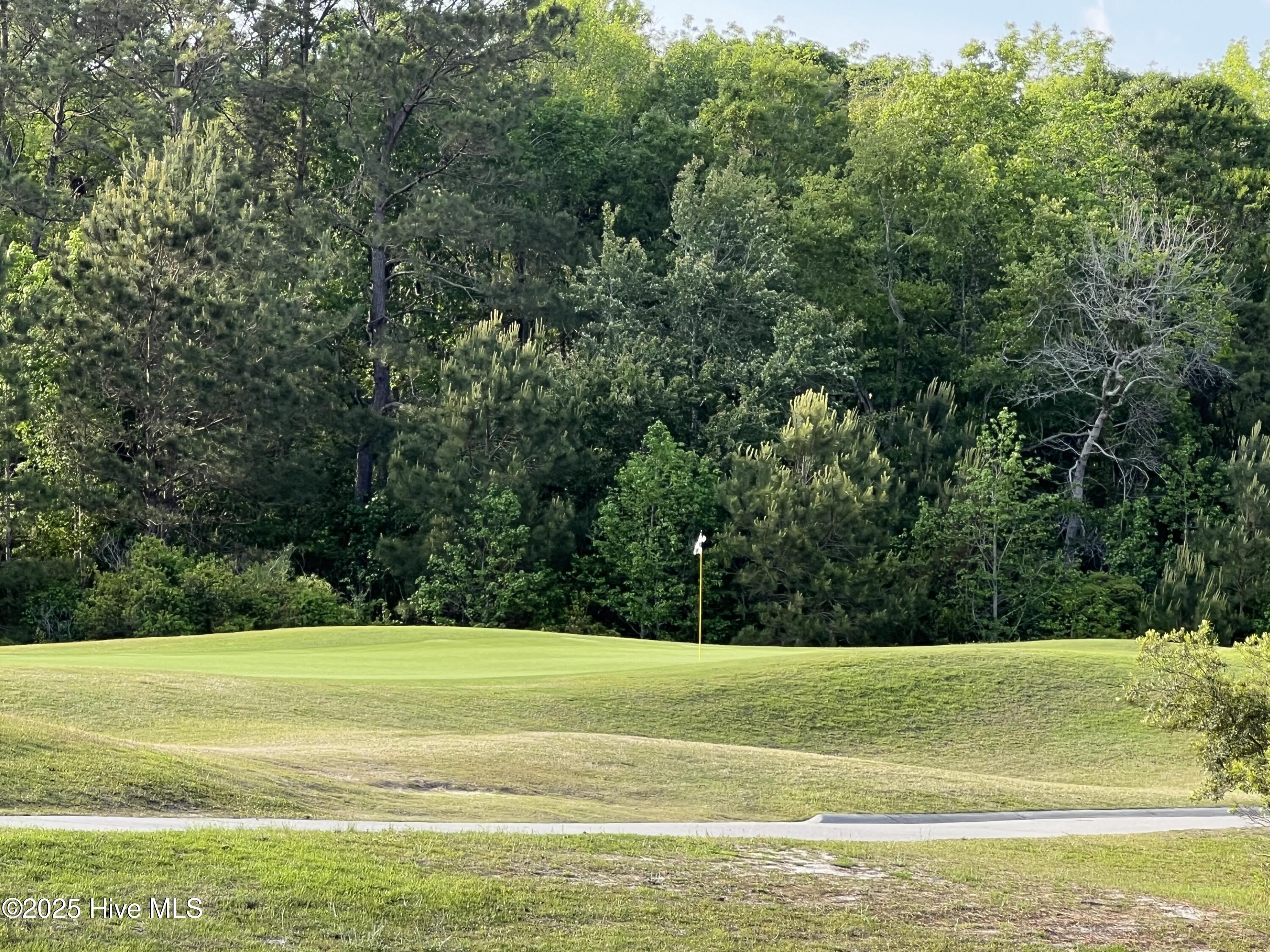 100506027 | Photo 14