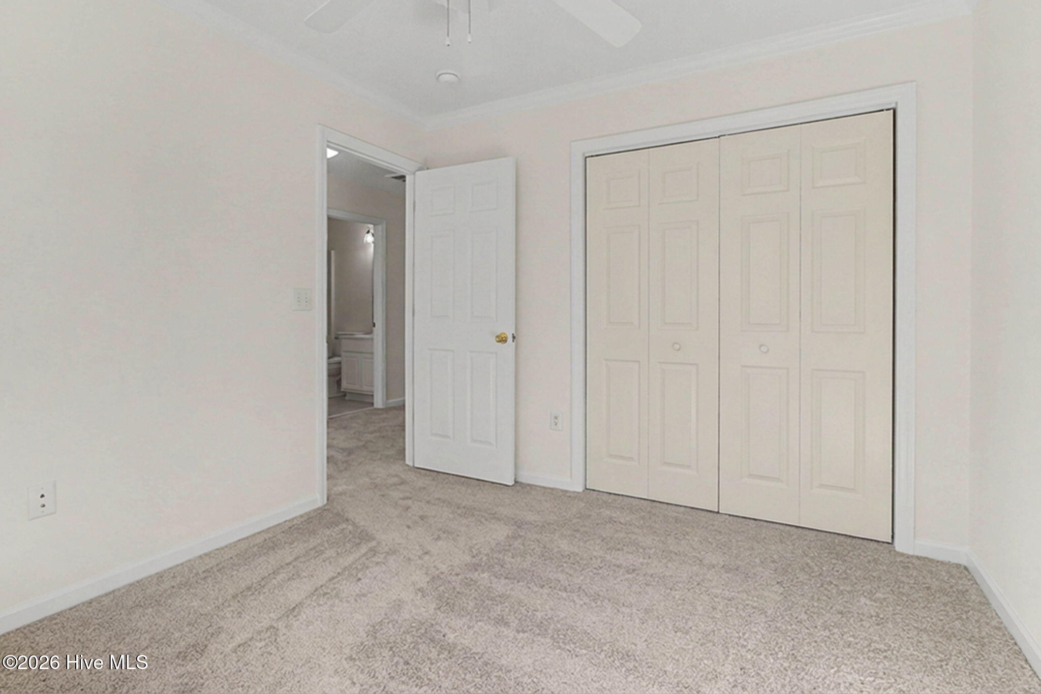 100547779 | Photo 25