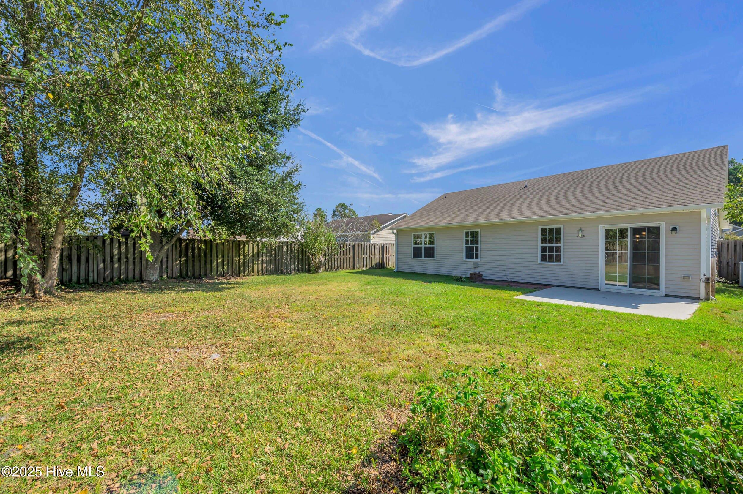 100531255 | Photo 35