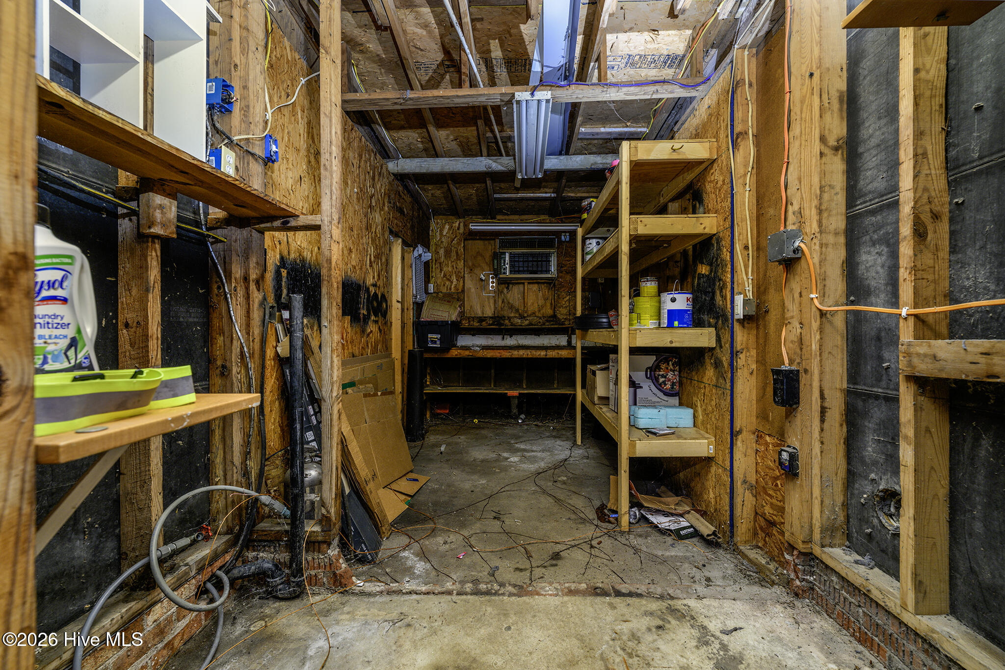 100567518 | Photo 23