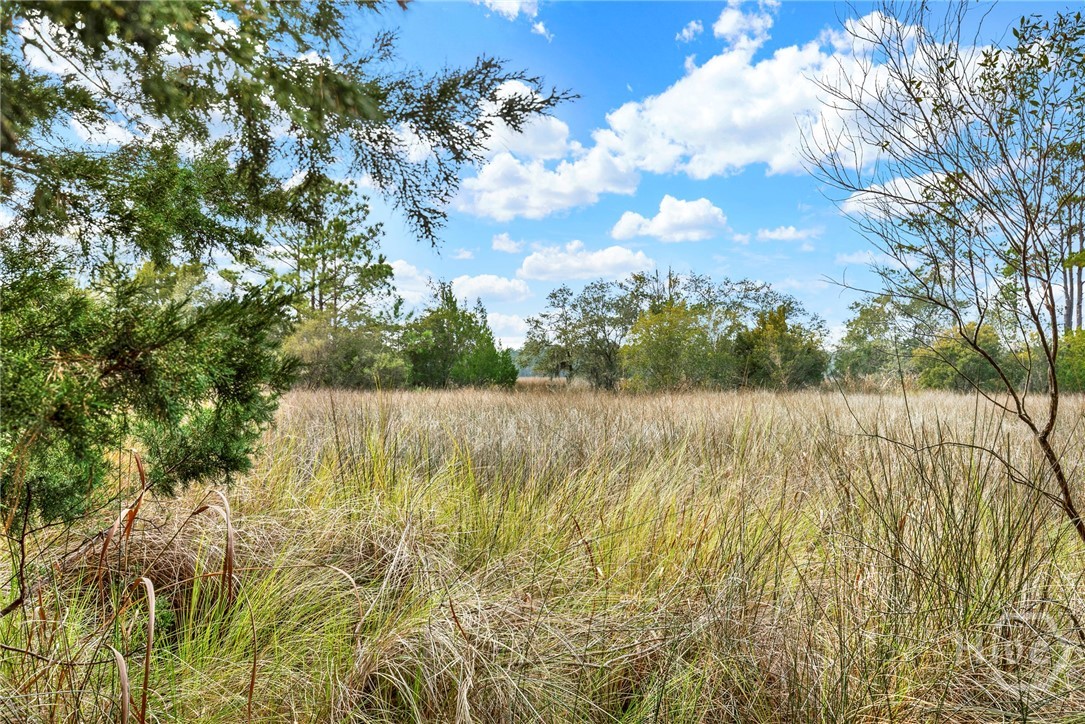 5th image of 181-199 Burton Rd, Savannah, GA 31405 | MLS# SA346044
